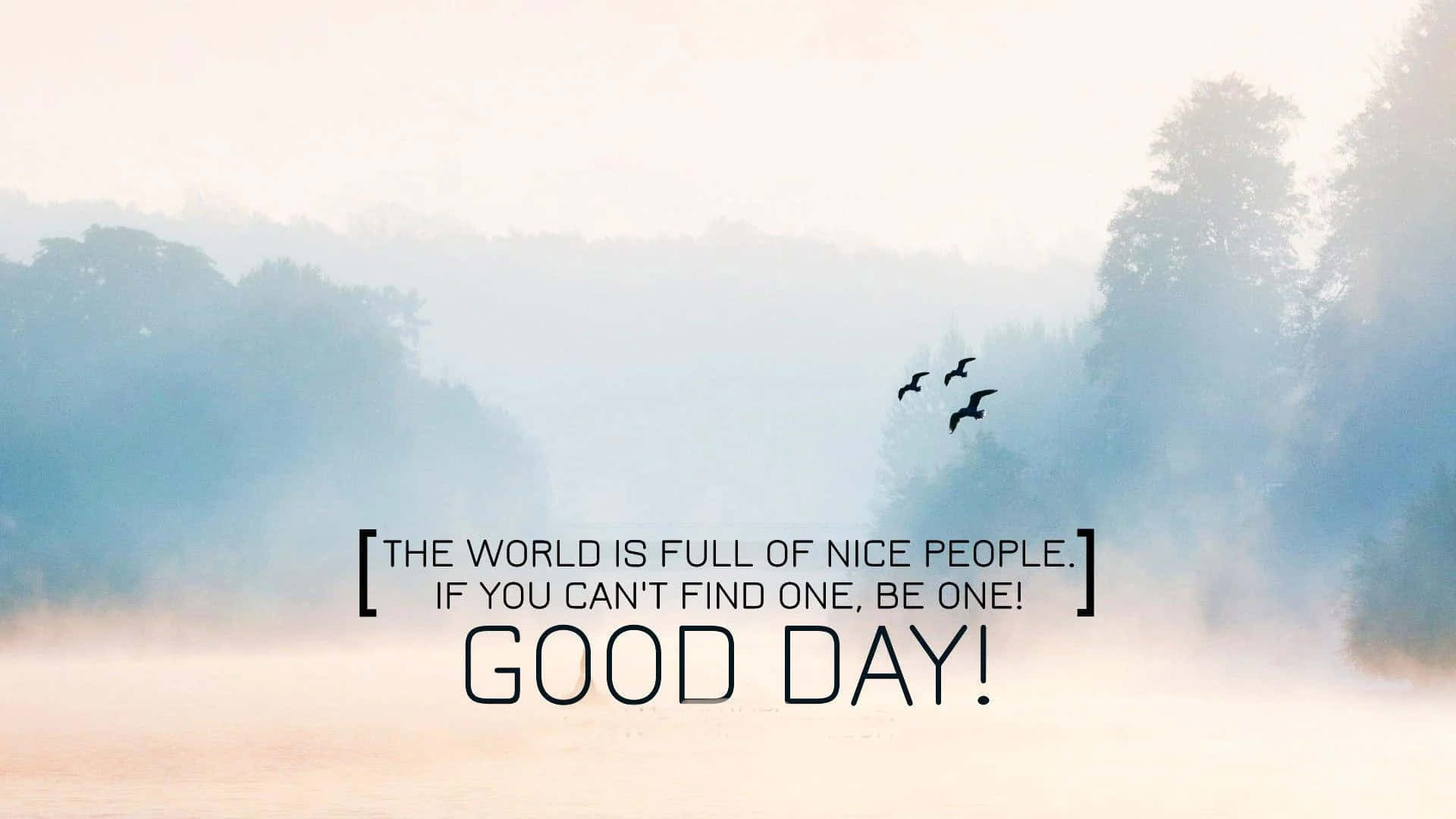 Misty forest landscape, three birds flying over water, motivational text overlay, Full HD Desktop Wallpaper