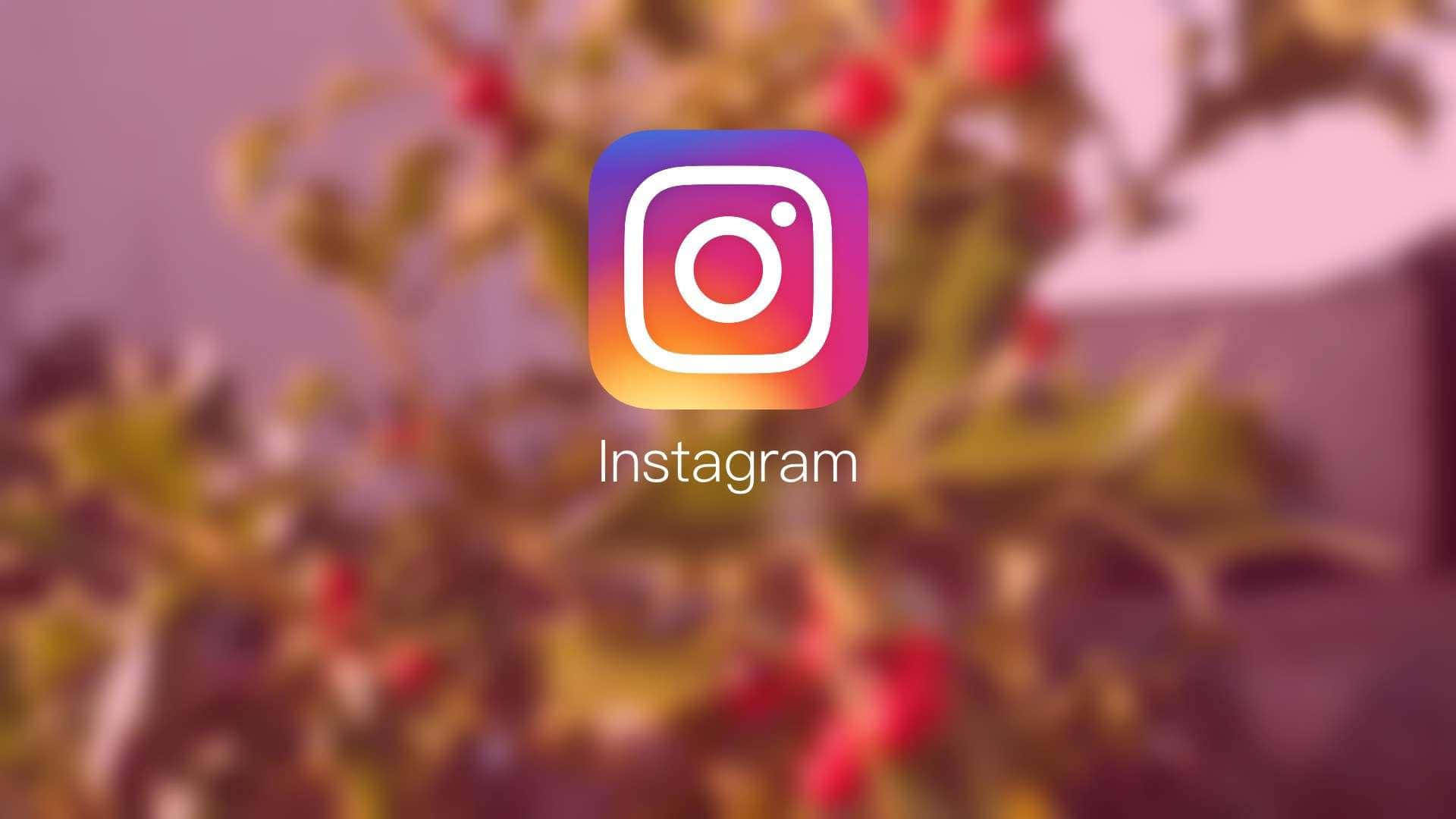 Instagram logo, autumnal foliage, warm pink, Full HD Desktop Wallpaper