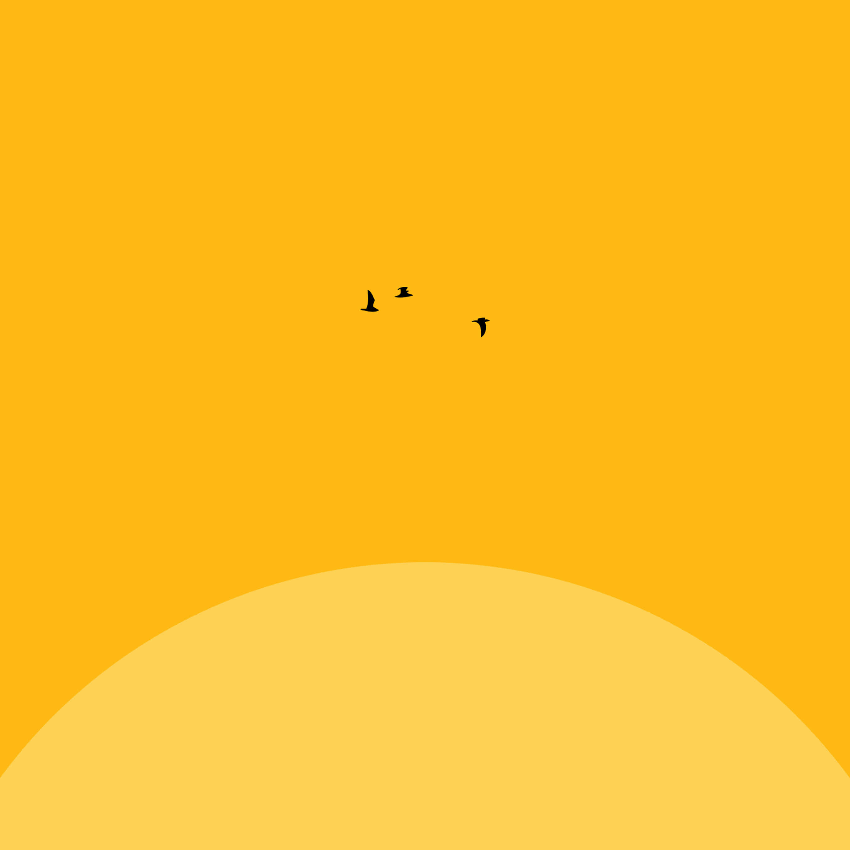 yellow sunrise ipad, black birds, vibrant orange sunset sky, 2K Desktop Wallpaper