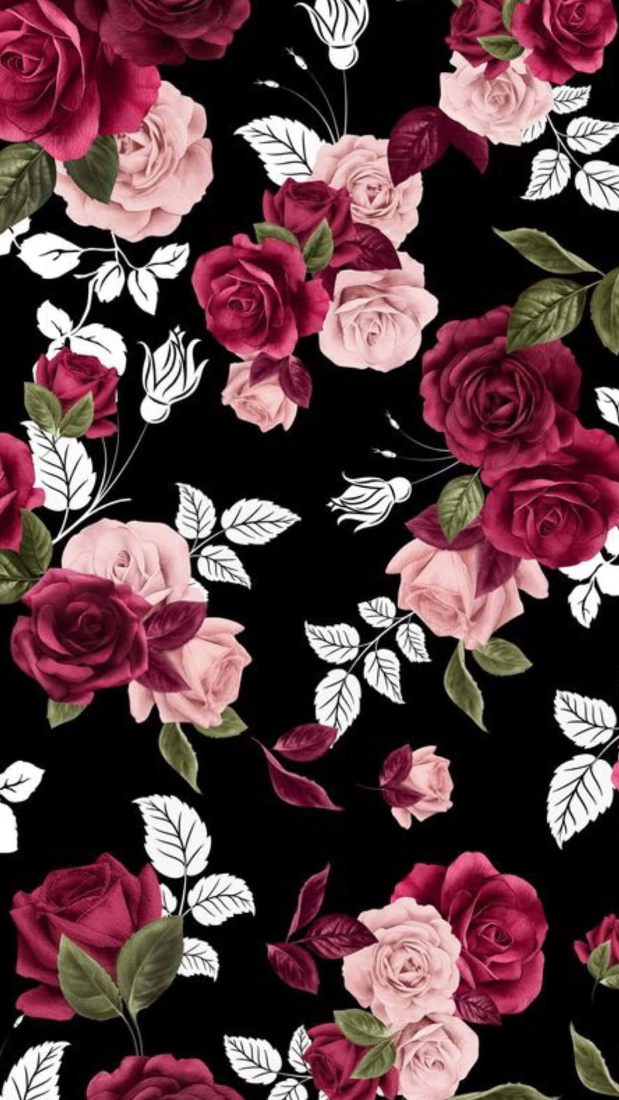 black background, vibrant pink and burgundy roses, white and green leaves, Full HD Phone Wallpaper