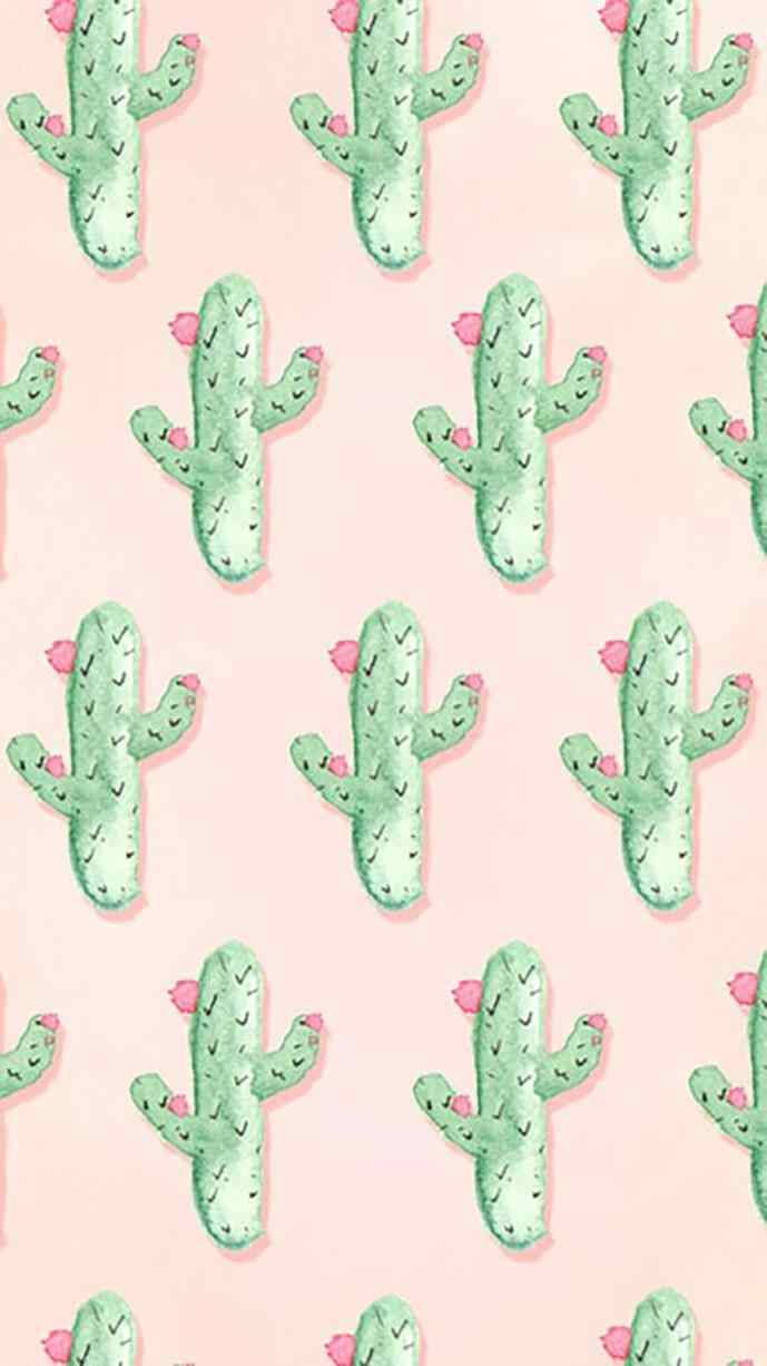 green cactus, pastel pink background, tiny pink flowers, SD Phone Wallpaper