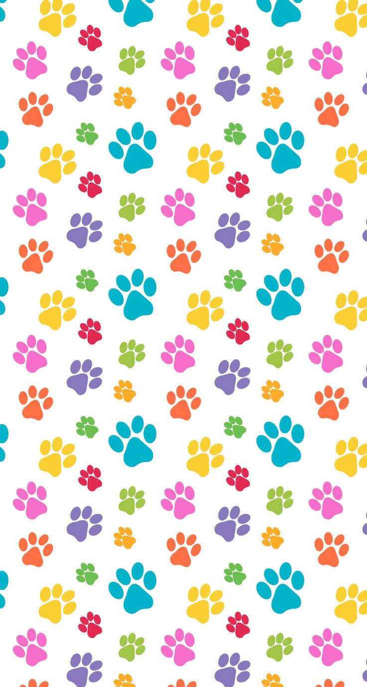 colourful paws, cute iphone lock screen, vibrant multicolored paw prints, HD Phone Wallpaper