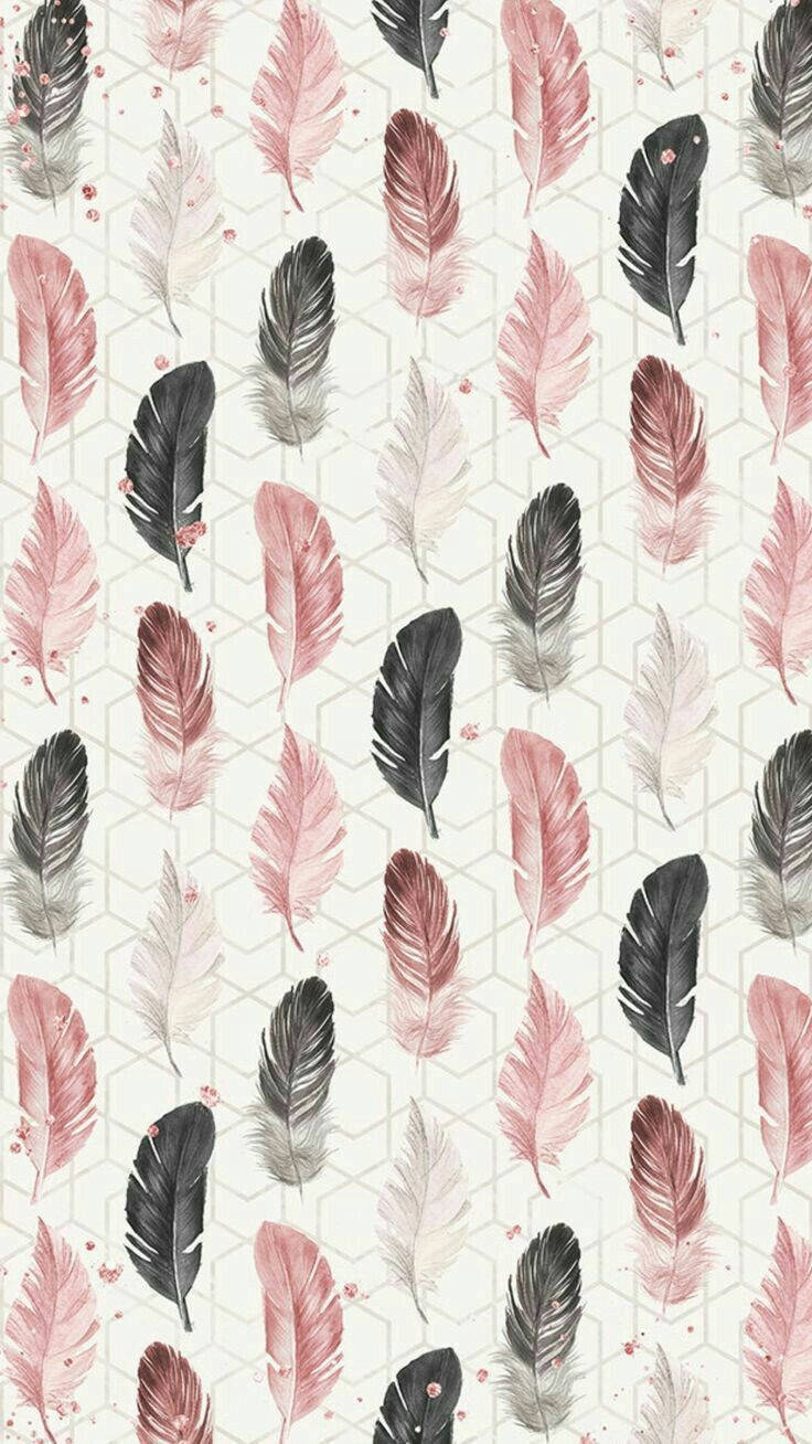painted feathers, soft pink gray, black, HD Phone Wallpaper