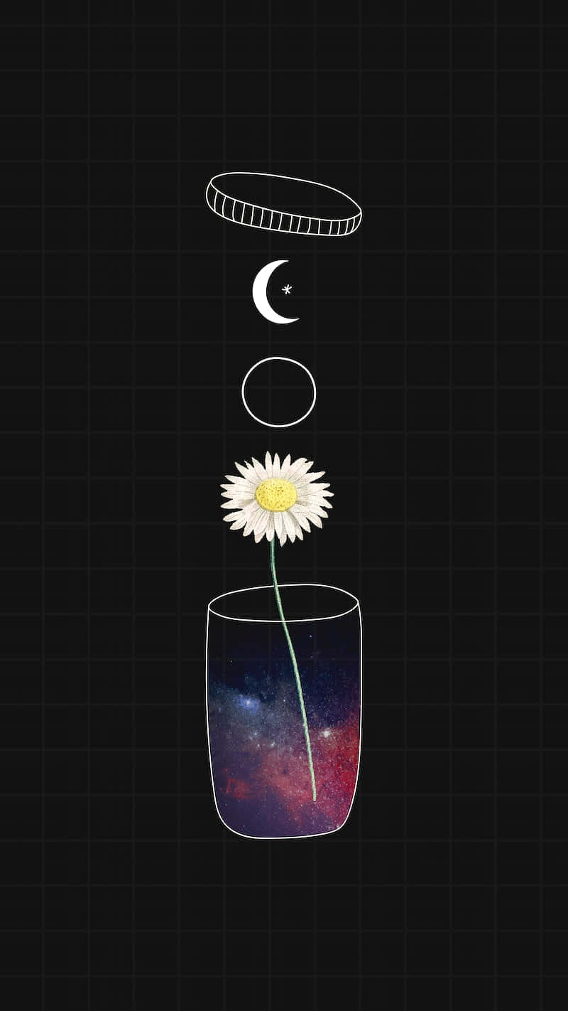 white daisy, cosmic galaxy stem, glass jar, HD Phone Wallpaper
