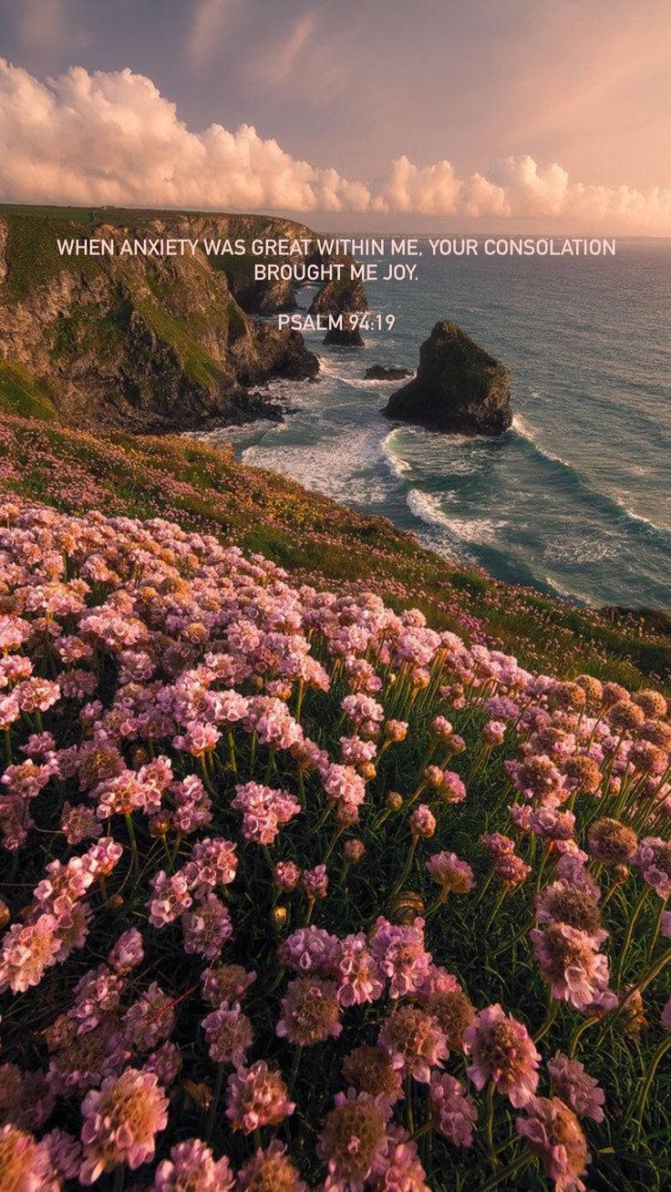 Cute Jesus, Psalm 94, pink wildflowers, HD Phone Wallpaper