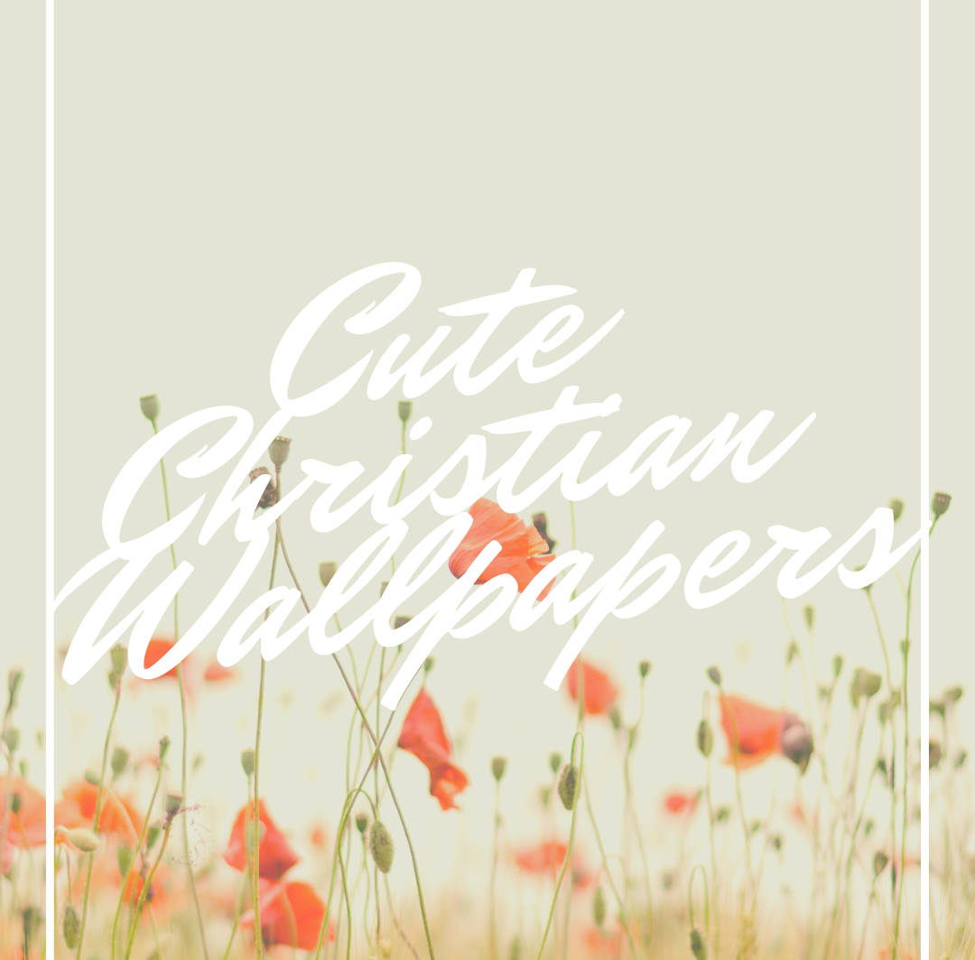 cute christian, pastel field, red poppies, SD Desktop Wallpaper