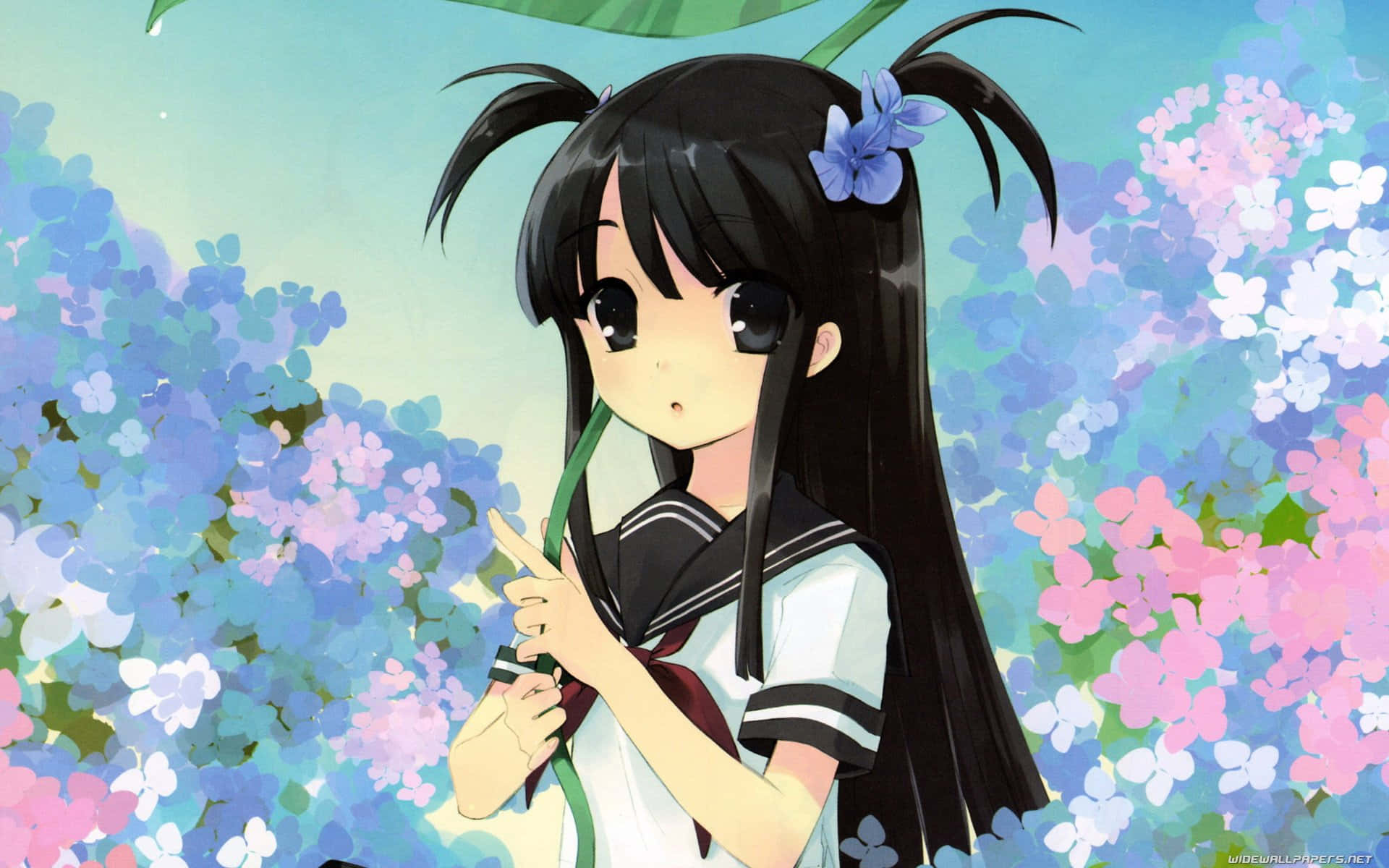 cute kawaii anime girl, black pigtails, blue flower, Full HD Desktop Wallpaper