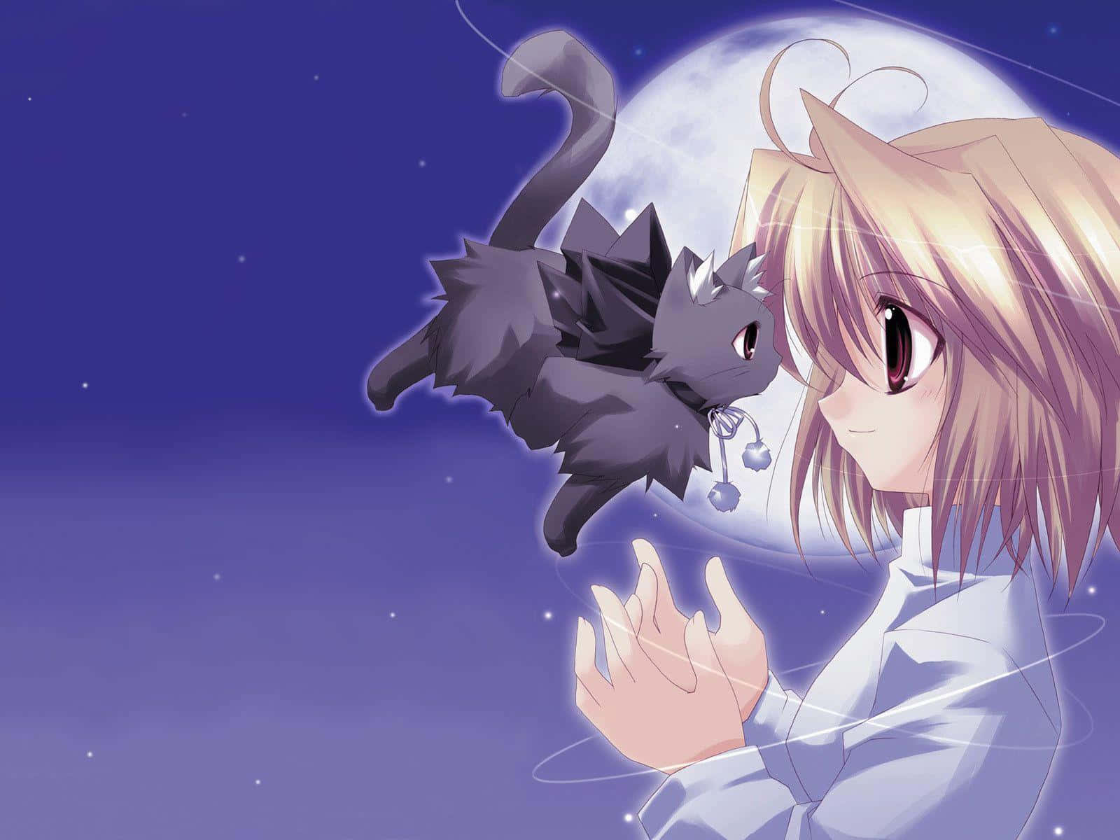 blonde anime girl, red eyes, floating black cat, HD Desktop Wallpaper