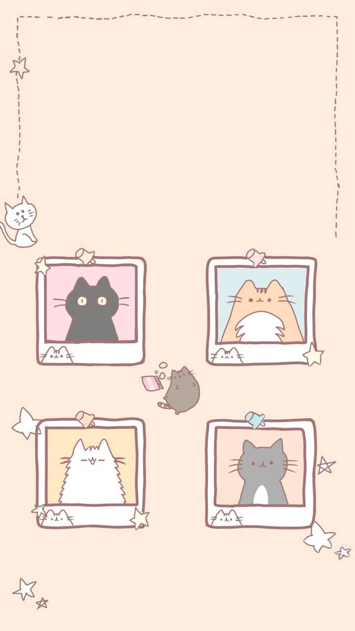 cute kawaii cat, polaroid frames, soft peach background, HD Phone Wallpaper