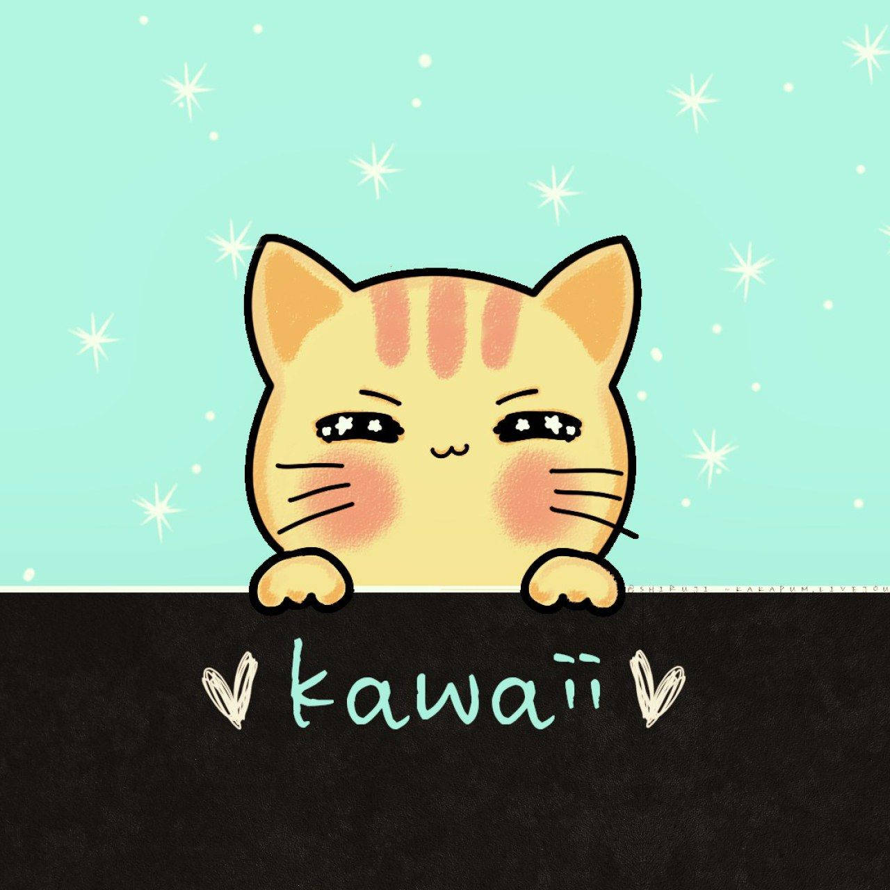 cute kawaii cat, rosy cheeks, black surface, HD Desktop Wallpaper