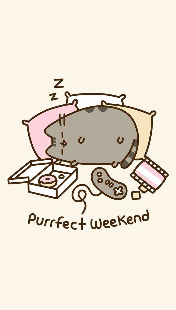 cute kawaii cat, sleeping, pillows, HD Phone Wallpaper