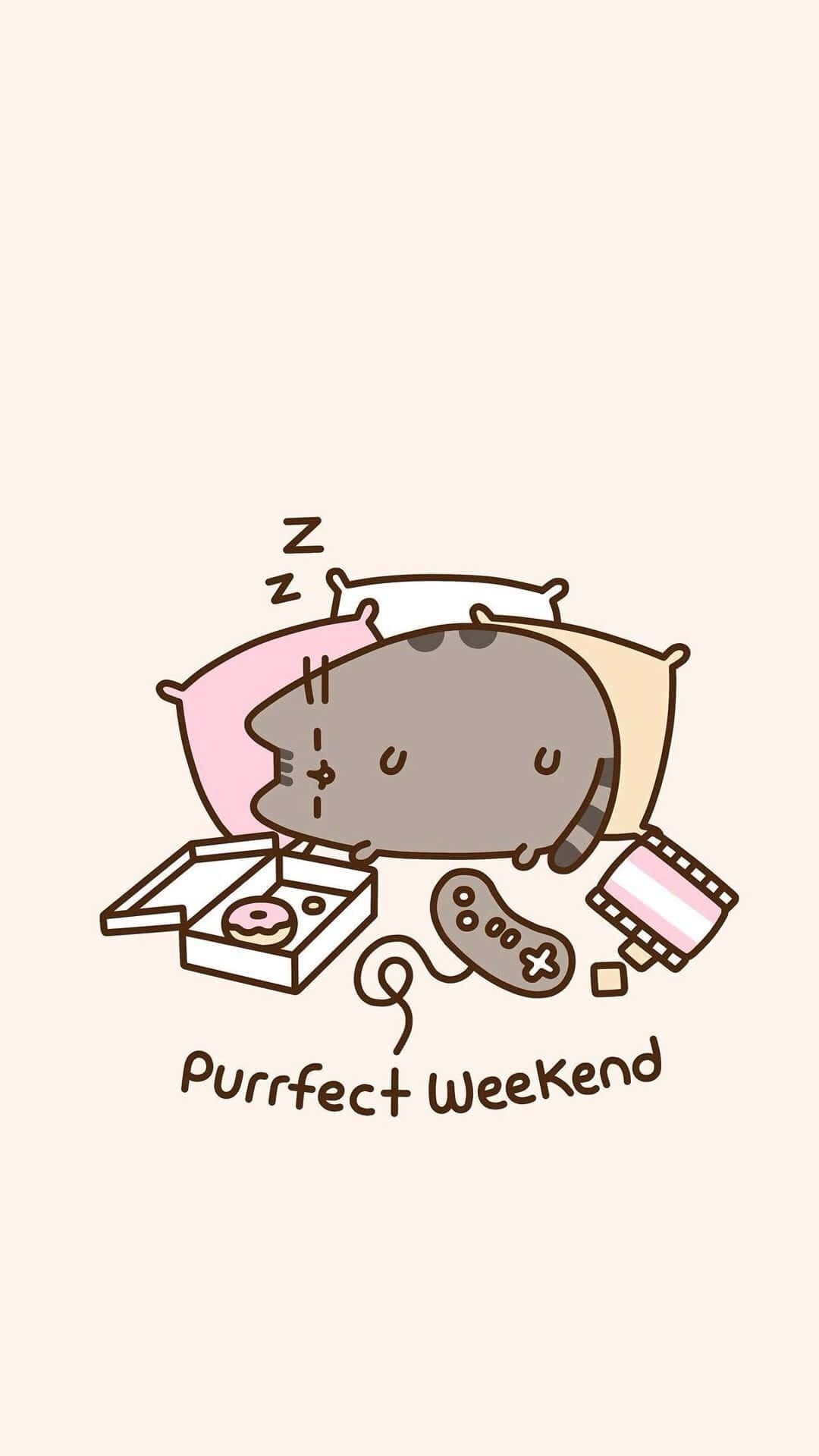 cute cartoon cat, pillows, donut box game controller, Full HD Phone Wallpaper