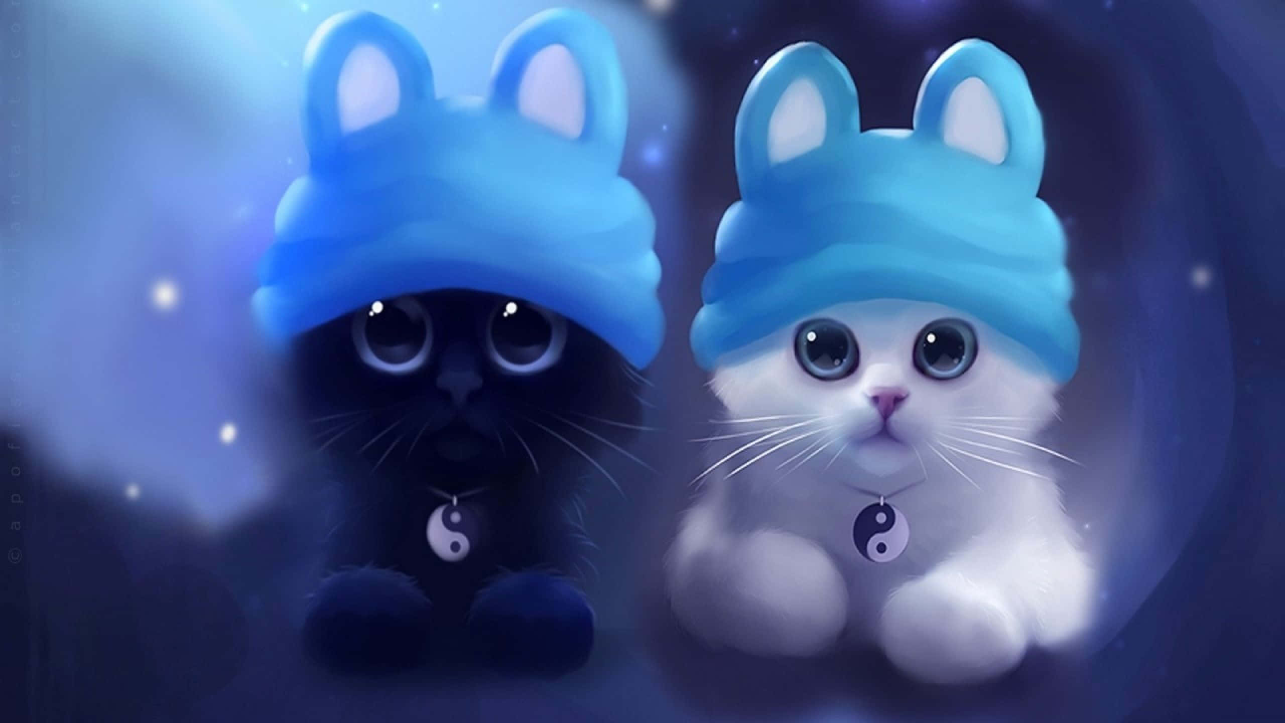 blue beanie, black kitten, white kitten, 2K Desktop Wallpaper