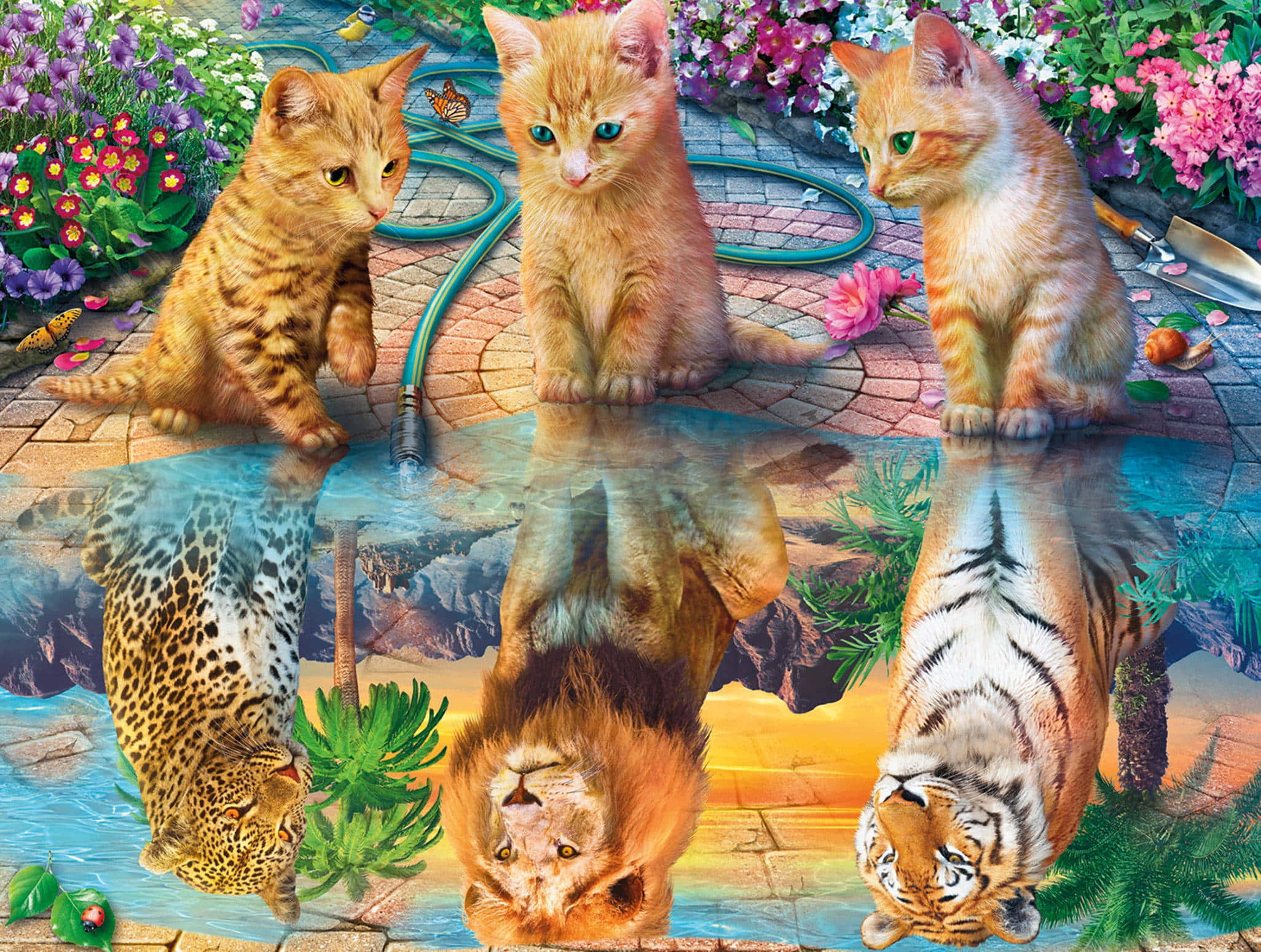 orange kittens, wet patio, flowers, Full HD Desktop Wallpaper