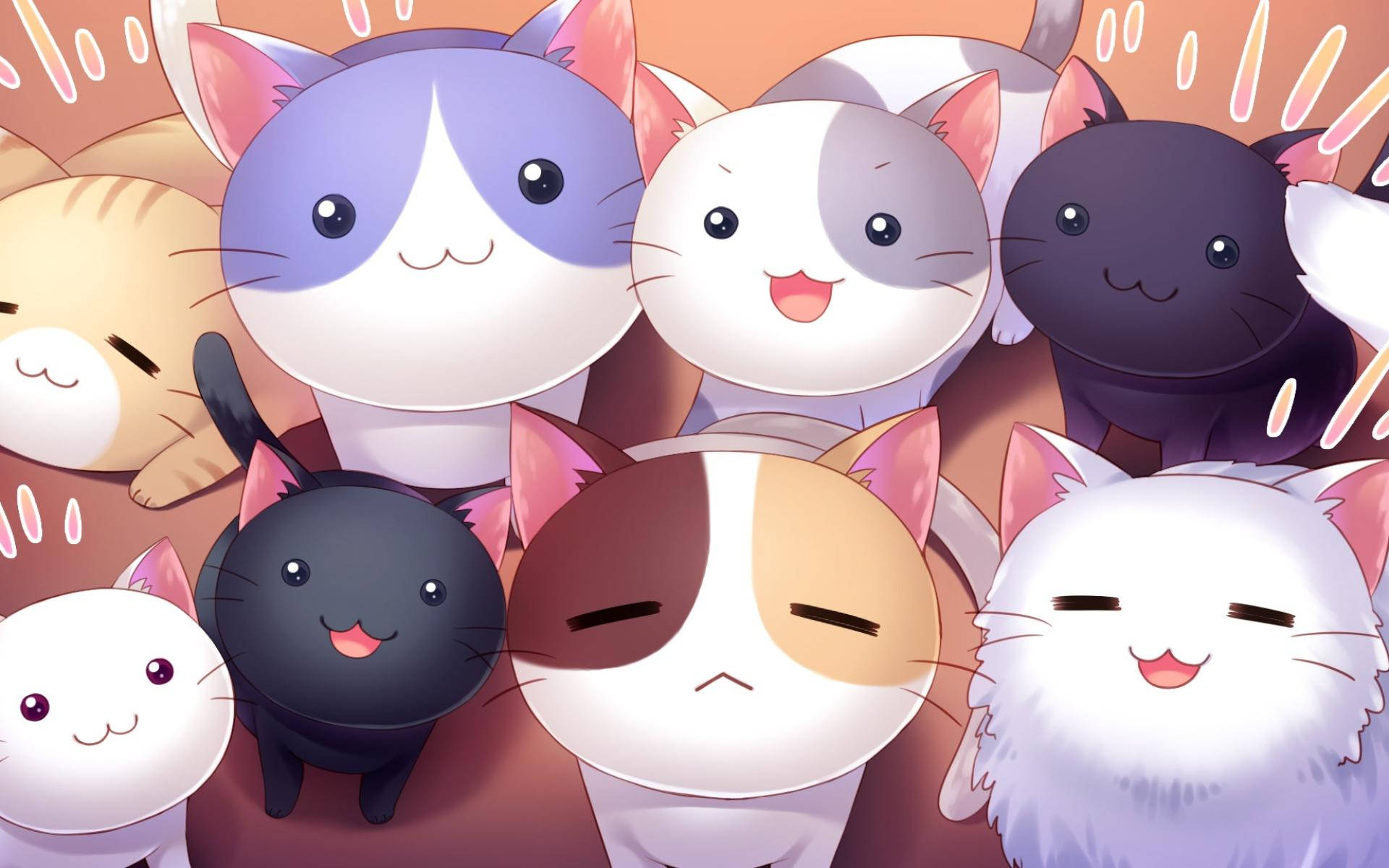 lovely cats smile, stylized anime cats, varied fur colors, Full HD Desktop Wallpaper