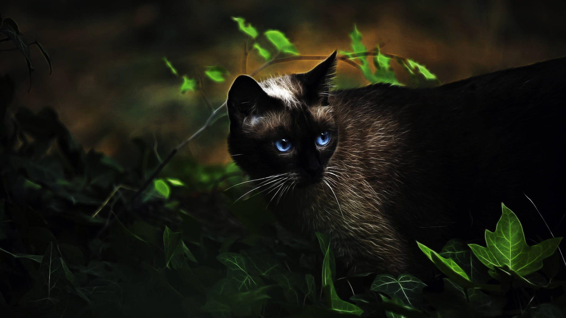 cute kitty, blue eyes, lush green foliage, Full HD Desktop Wallpaper