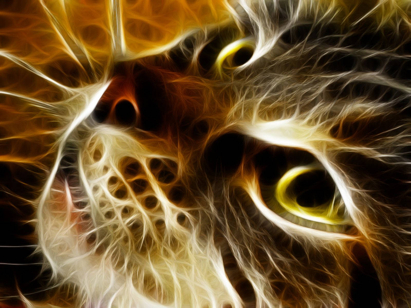 fractal art, cat's face, glowing yellow eyes, HD Desktop Wallpaper