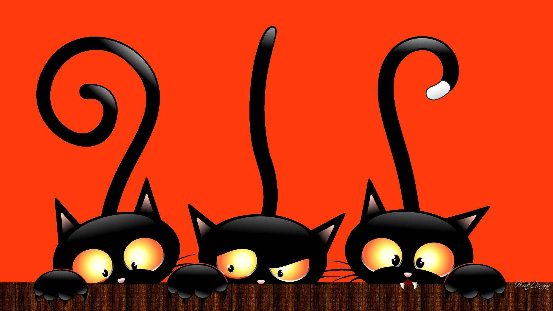cute black cartoon cats, glowing eyes, wooden fence, Full HD Desktop Wallpaper
