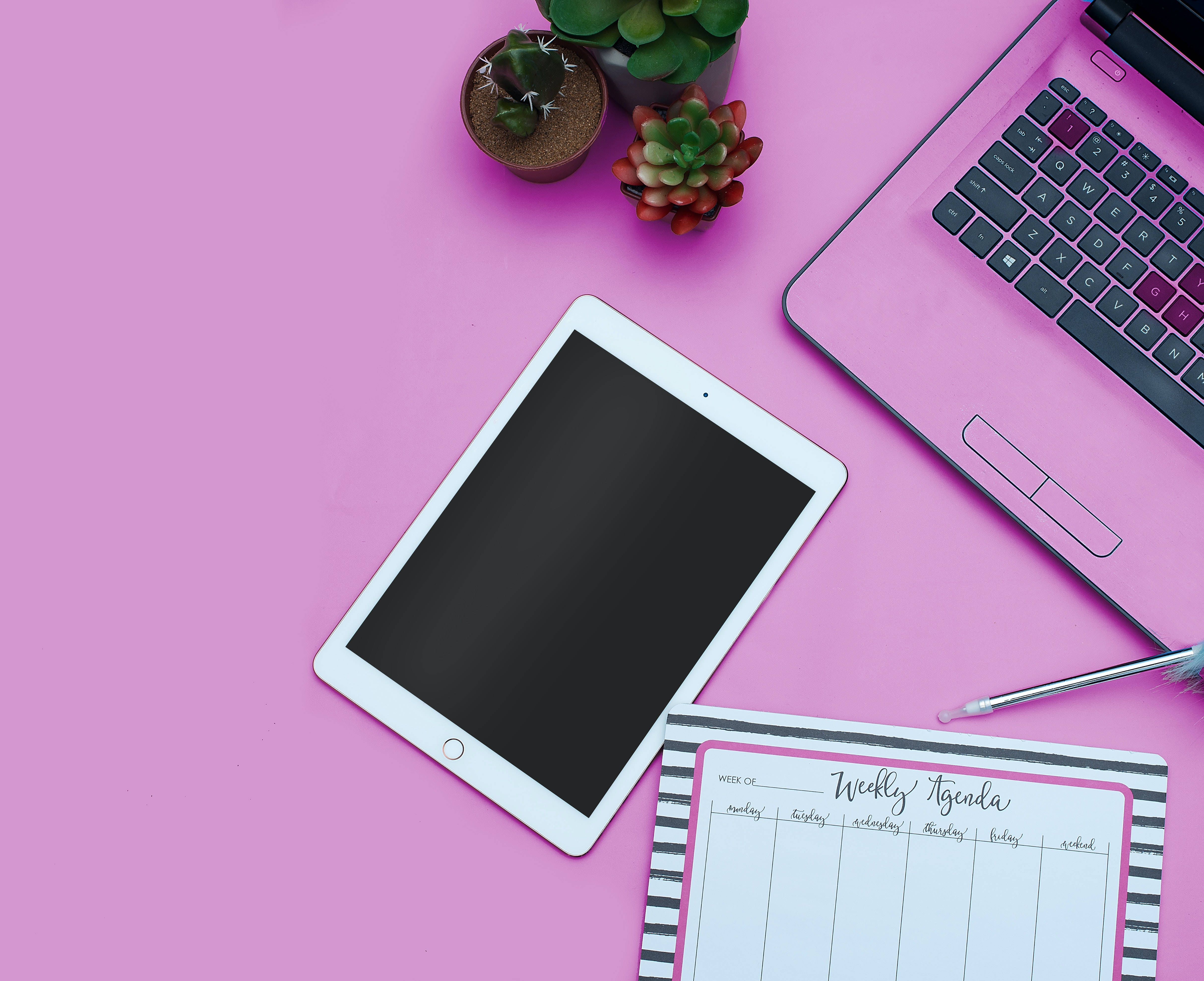 vibrant pink, laptop, wooden tabletop, 4K Desktop Wallpaper