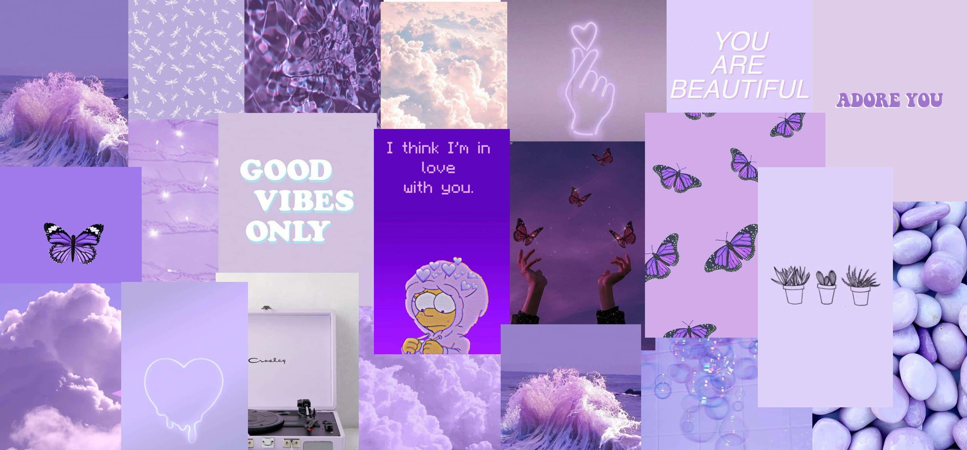 lavender, purple, butterflies, 2K Desktop Wallpaper