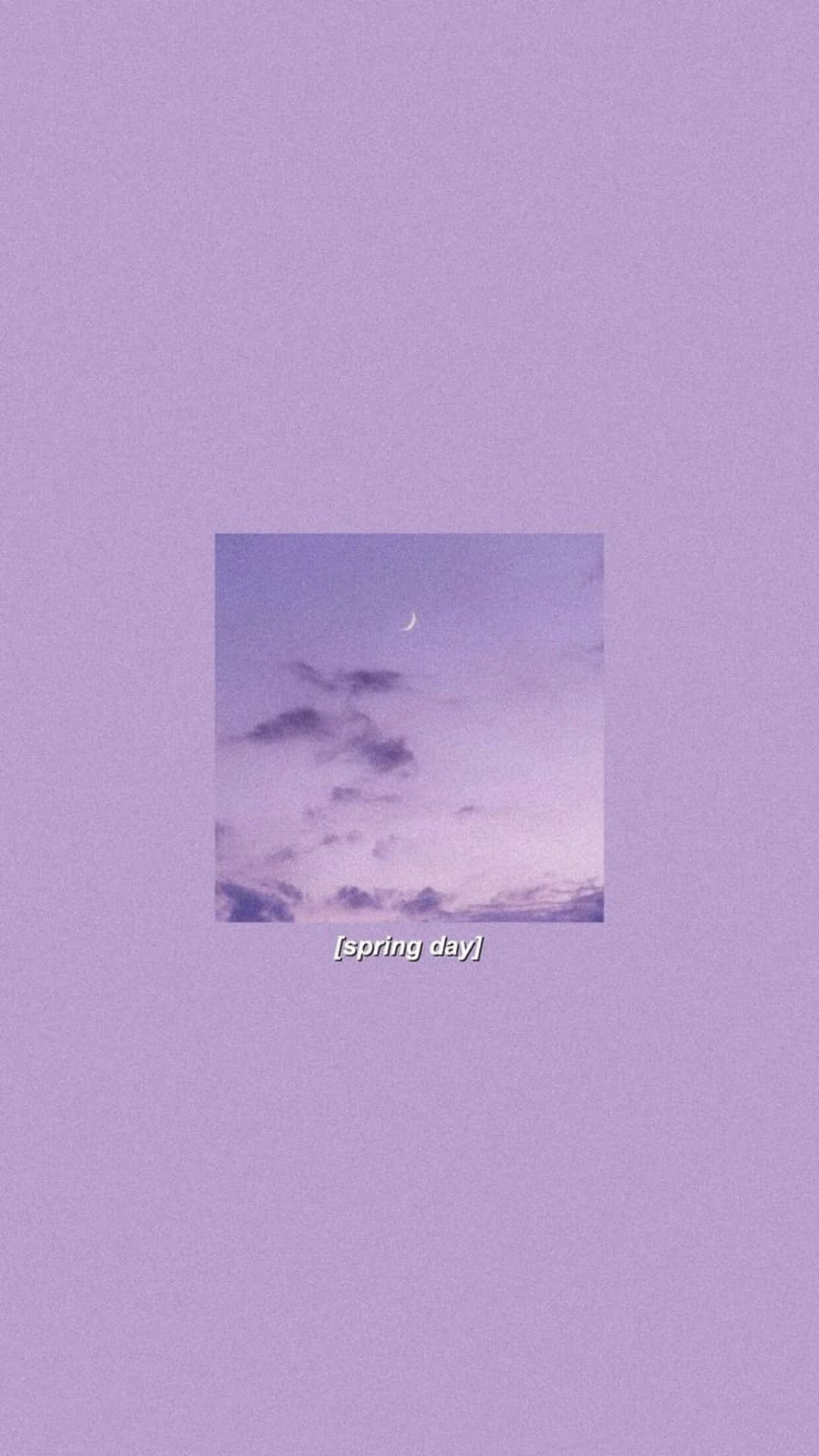 Lavender, Spring, Day, Full HD Phone Wallpaper