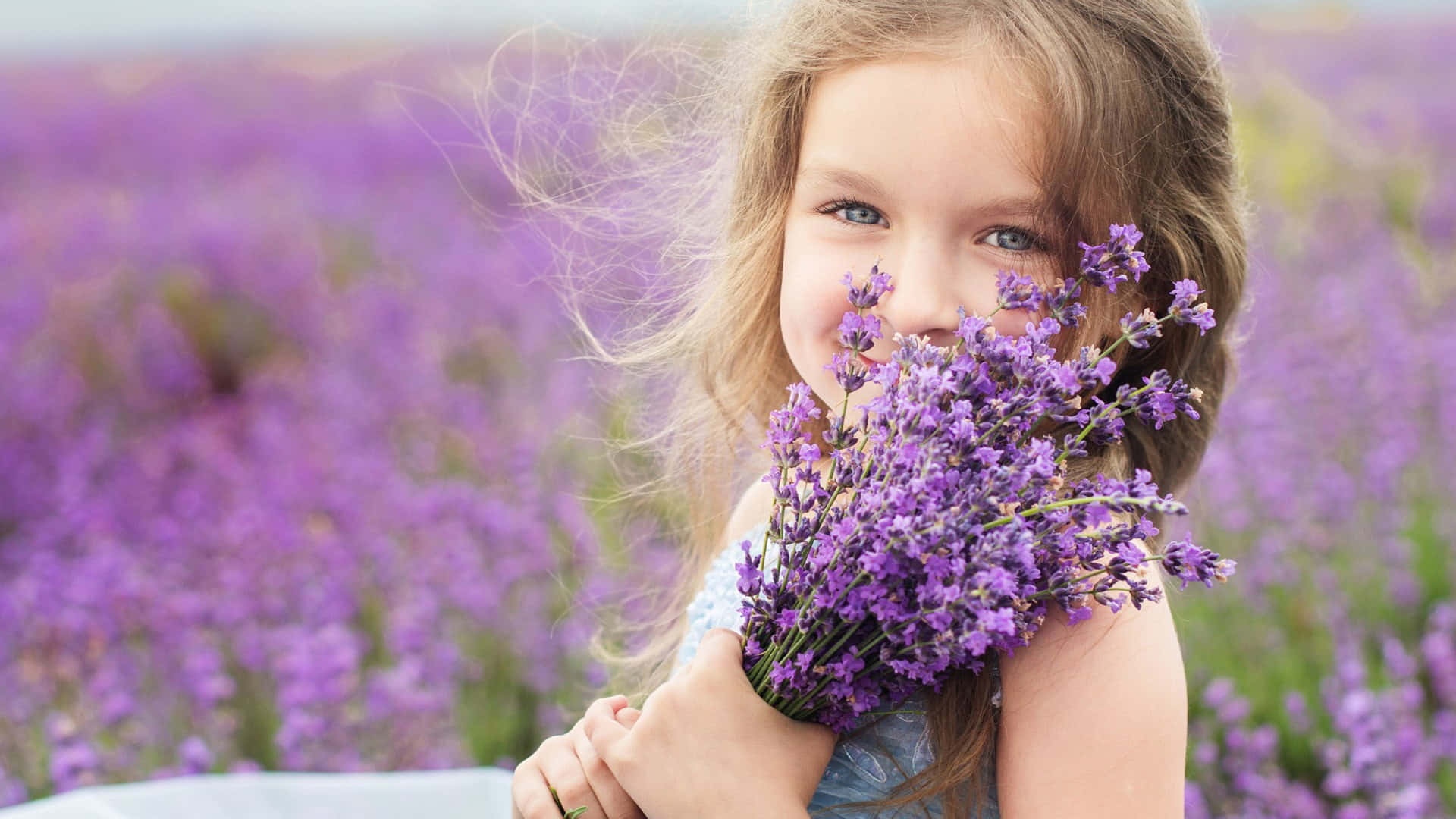 girl, lavender field, bouquet of lavender, Full HD Desktop Wallpaper