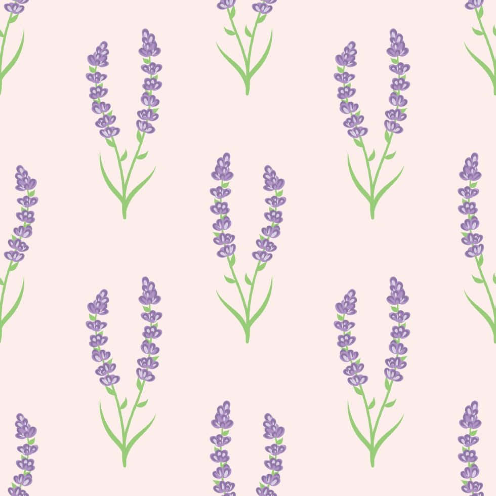 lavender pattern, soft pink background, repeating stylized lavender sprigs, SD Desktop Wallpaper