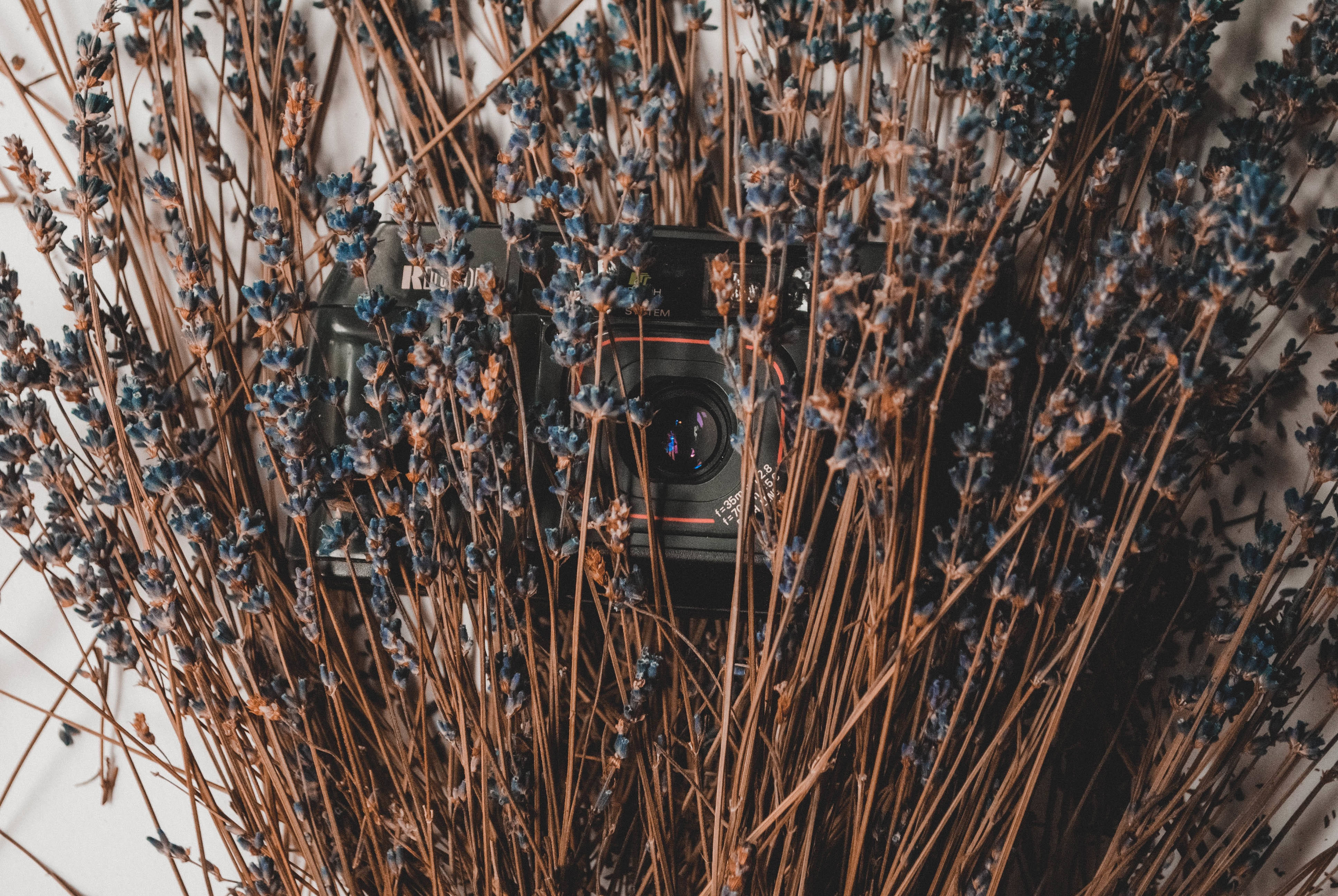 black camera, dried lavender stalks, soft white background, 4K Desktop Wallpaper