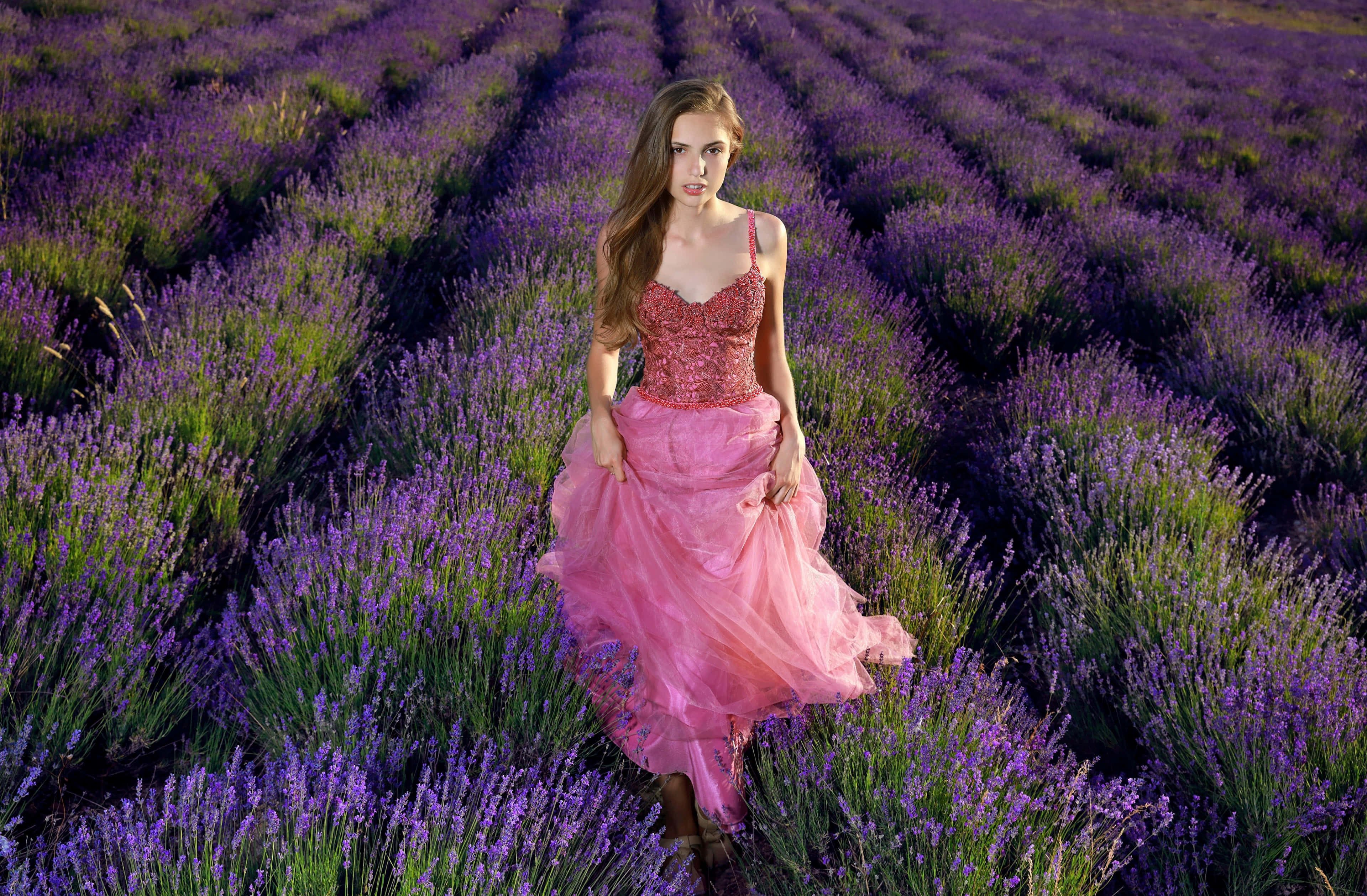 elegant woman, lavender field, flowing pink dress, 4K Desktop Wallpaper