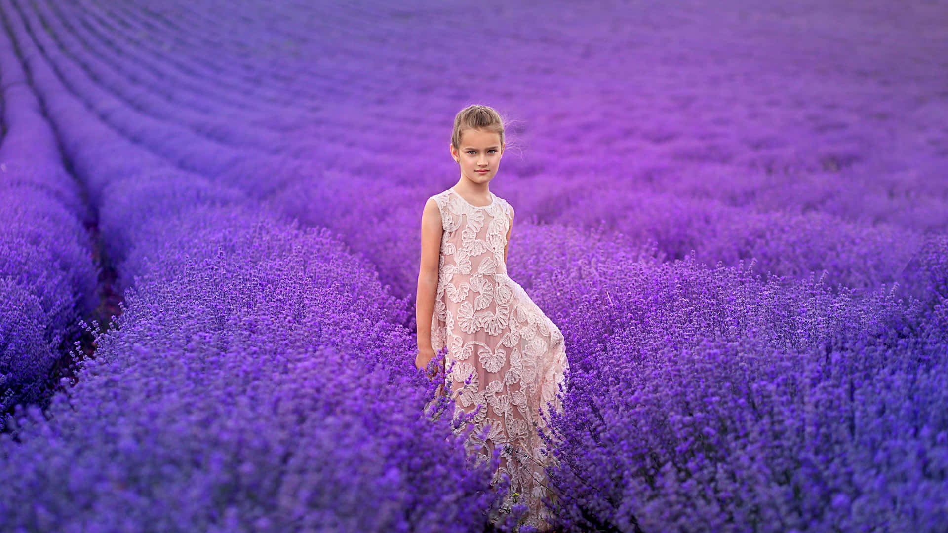 girl, lace dress, vibrant purple lavender fields, Full HD Desktop Wallpaper