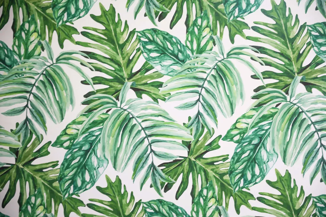 Cute Leaves