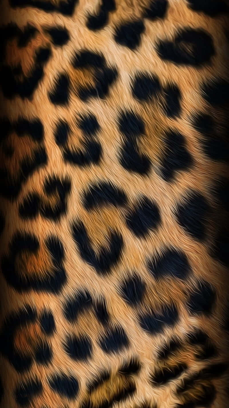 leopard skin texture, rosette patterns, warm amber, HD Phone Wallpaper