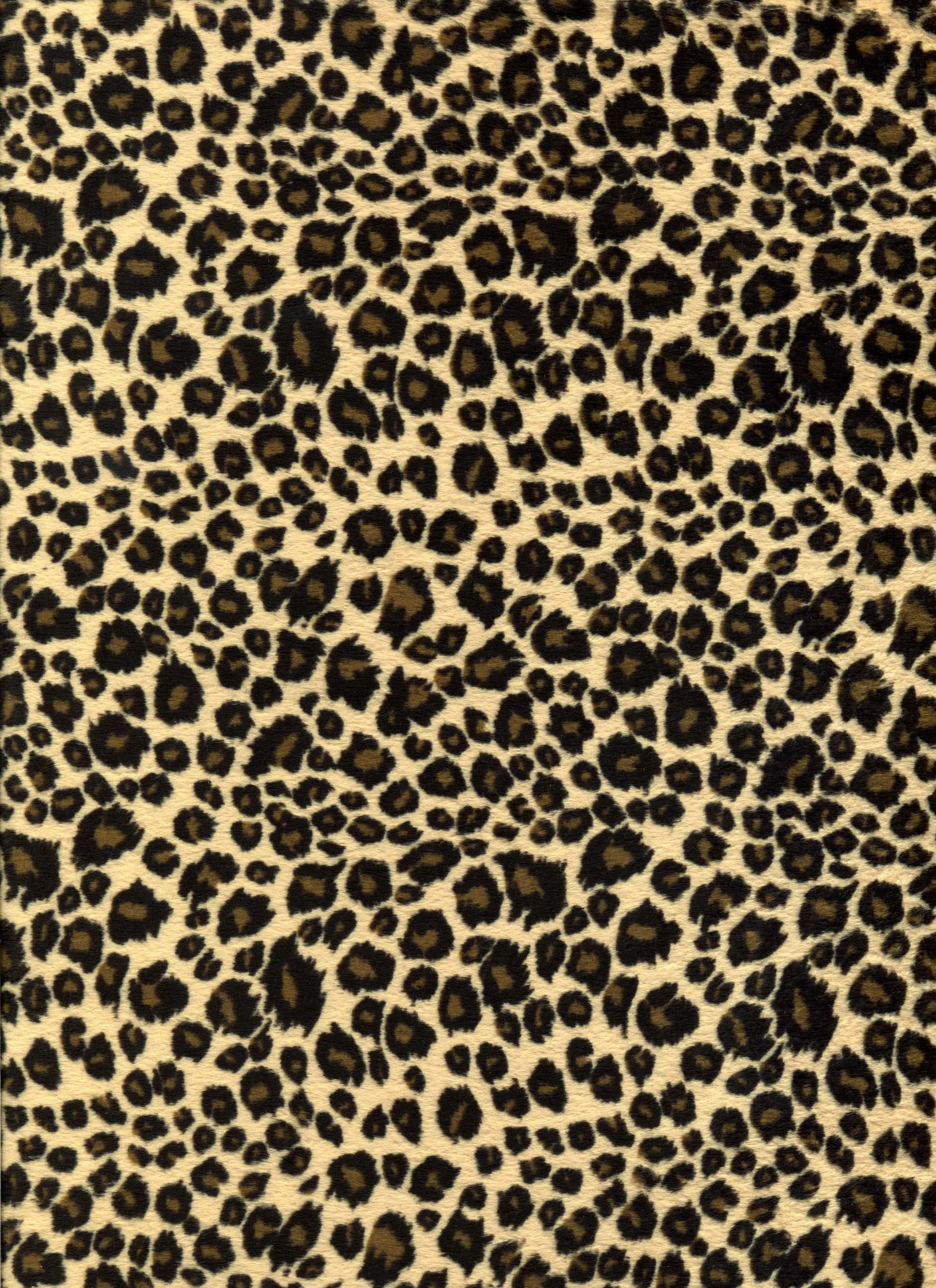 leopard print fabric, black and brown stripes, textured beige fabric, 2K Phone Wallpaper