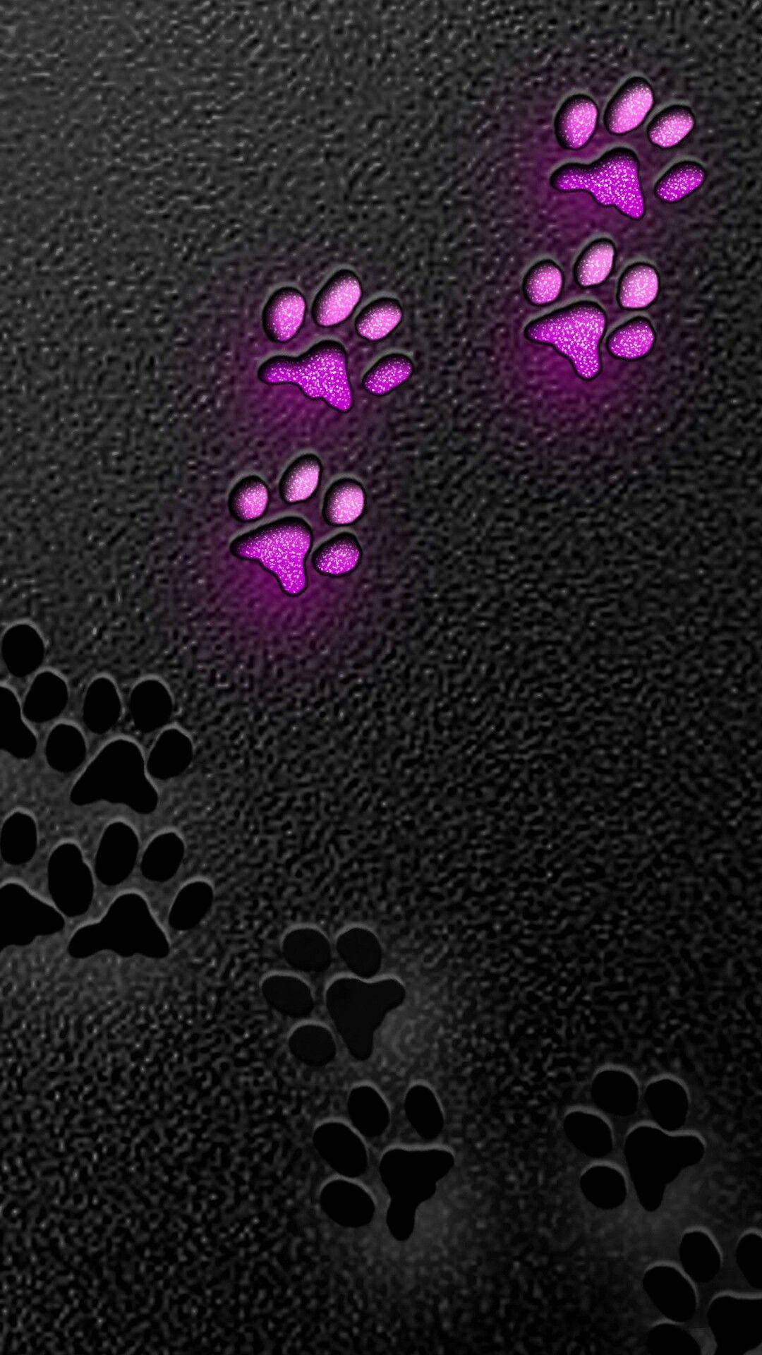 glowing purple paw print, textured black surface, darker paw prints, Full HD Phone Wallpaper