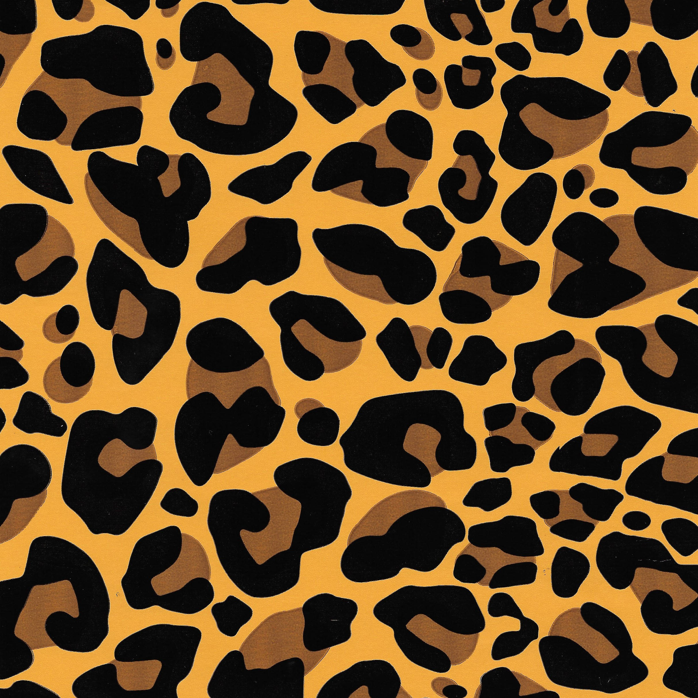 brown leopard print, black and brown spots, vibrant orange background, Full HD Desktop Wallpaper