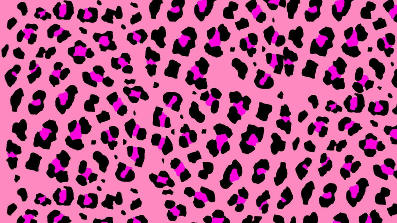 leopard print pattern, pink, black, HD Desktop Wallpaper