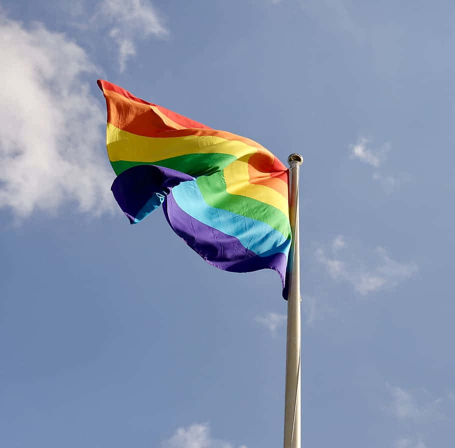 Cute LGBT Flag, pole, rainbow flag, SD Desktop Wallpaper