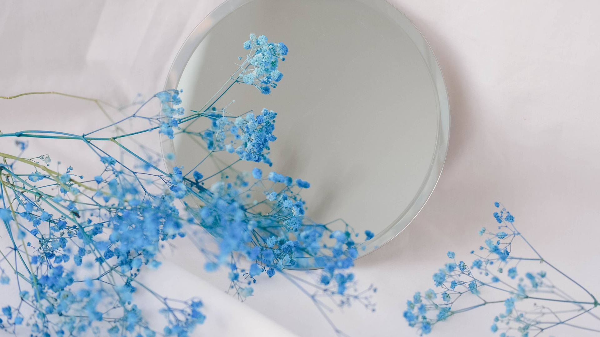 cute light blue, baby's breath flowers, round mirror, Full HD Desktop Wallpaper