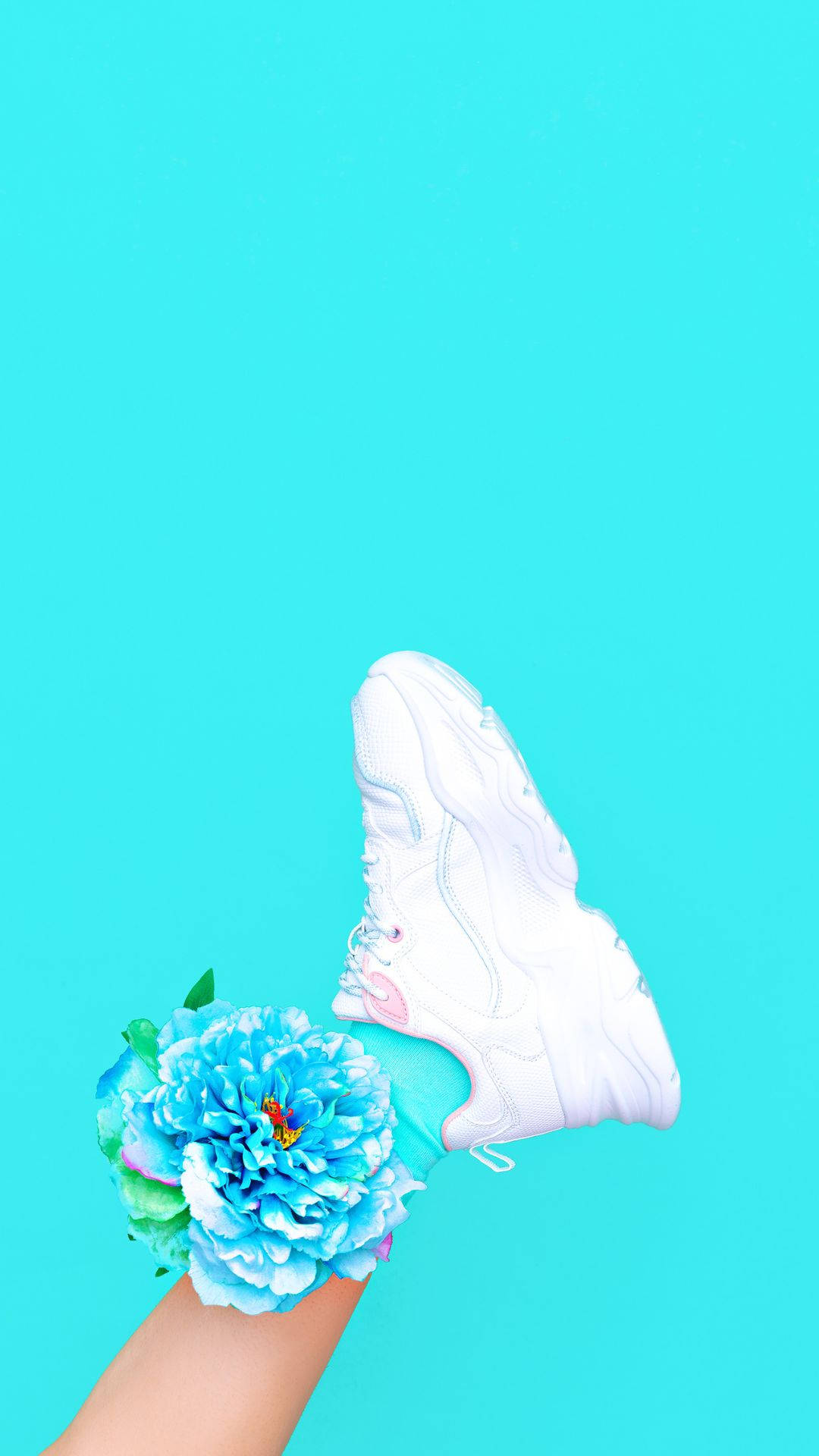 white sneaker, blue peony bloom, bright cyan background, Full HD Phone Wallpaper