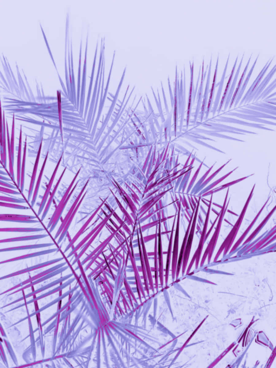 cute light purple, vibrant purple palm fronds, soft lavender sky, SD Phone Wallpaper