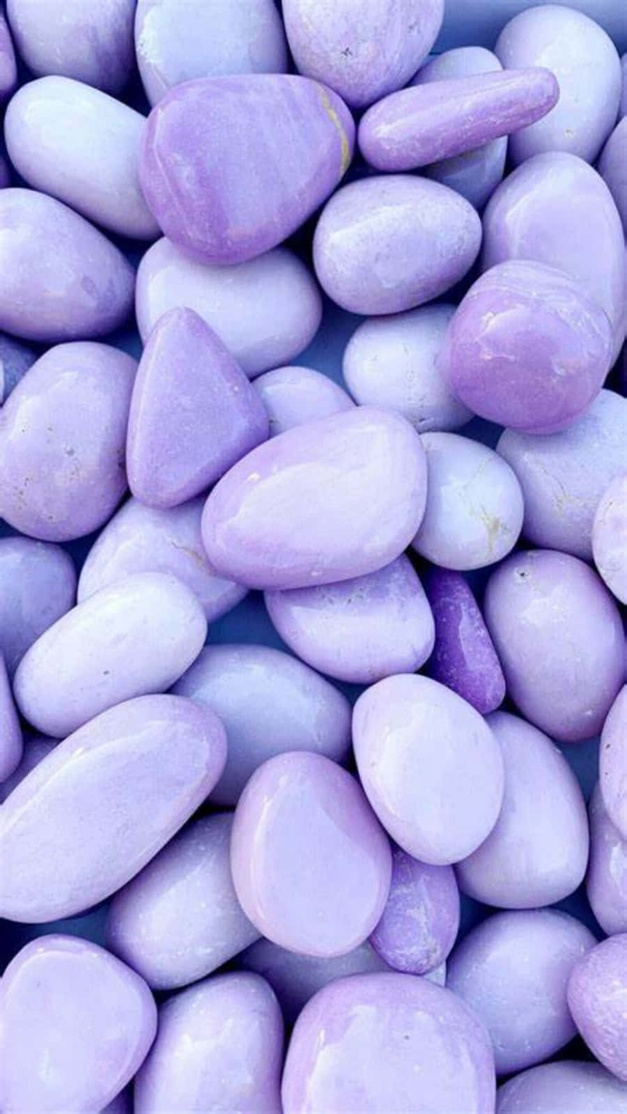 Cute Light Purple, lavender, white, HD Phone Wallpaper