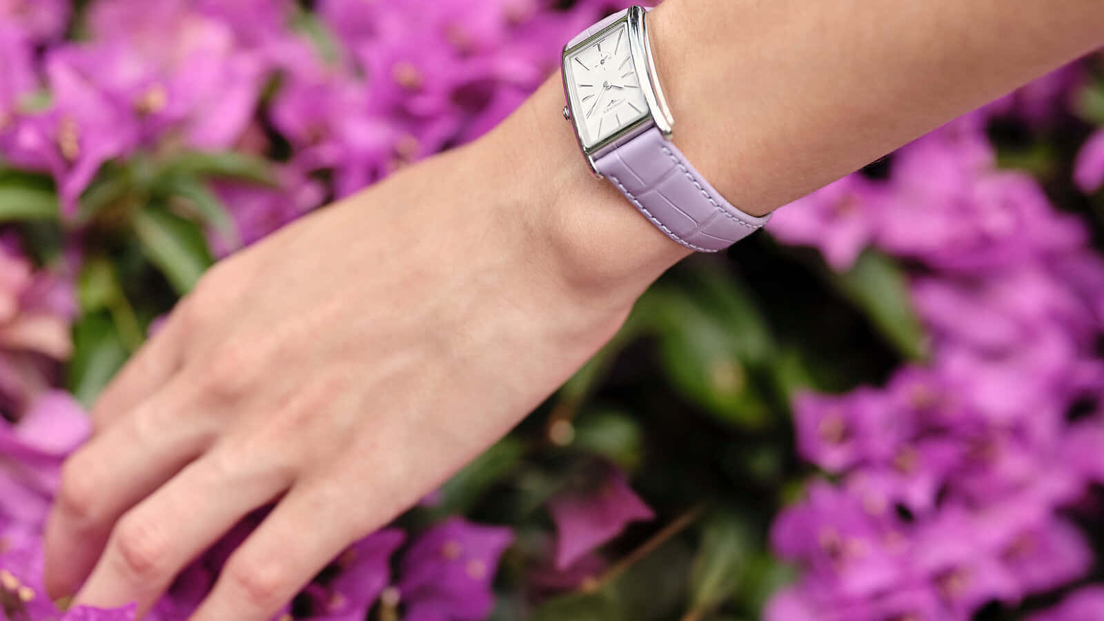 lavender leather watch, vibrant purple bougainvillea blooms, wrist, HD Desktop Wallpaper
