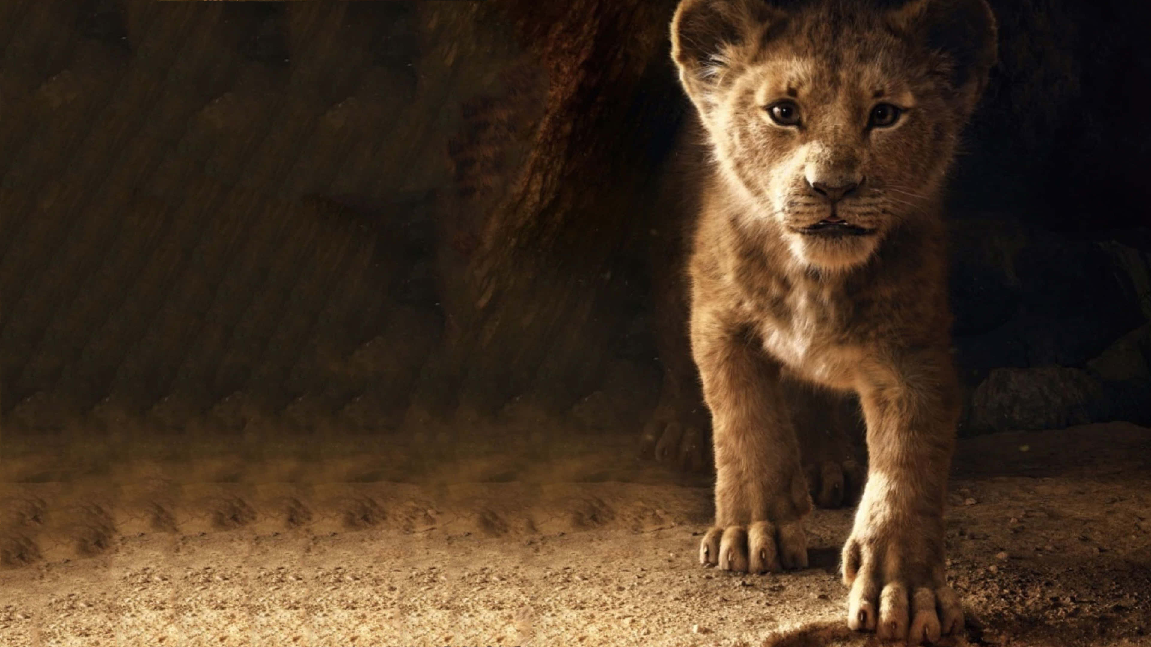 Cute Lion King, lion cub, dusty cave entrance, 4K Desktop Wallpaper