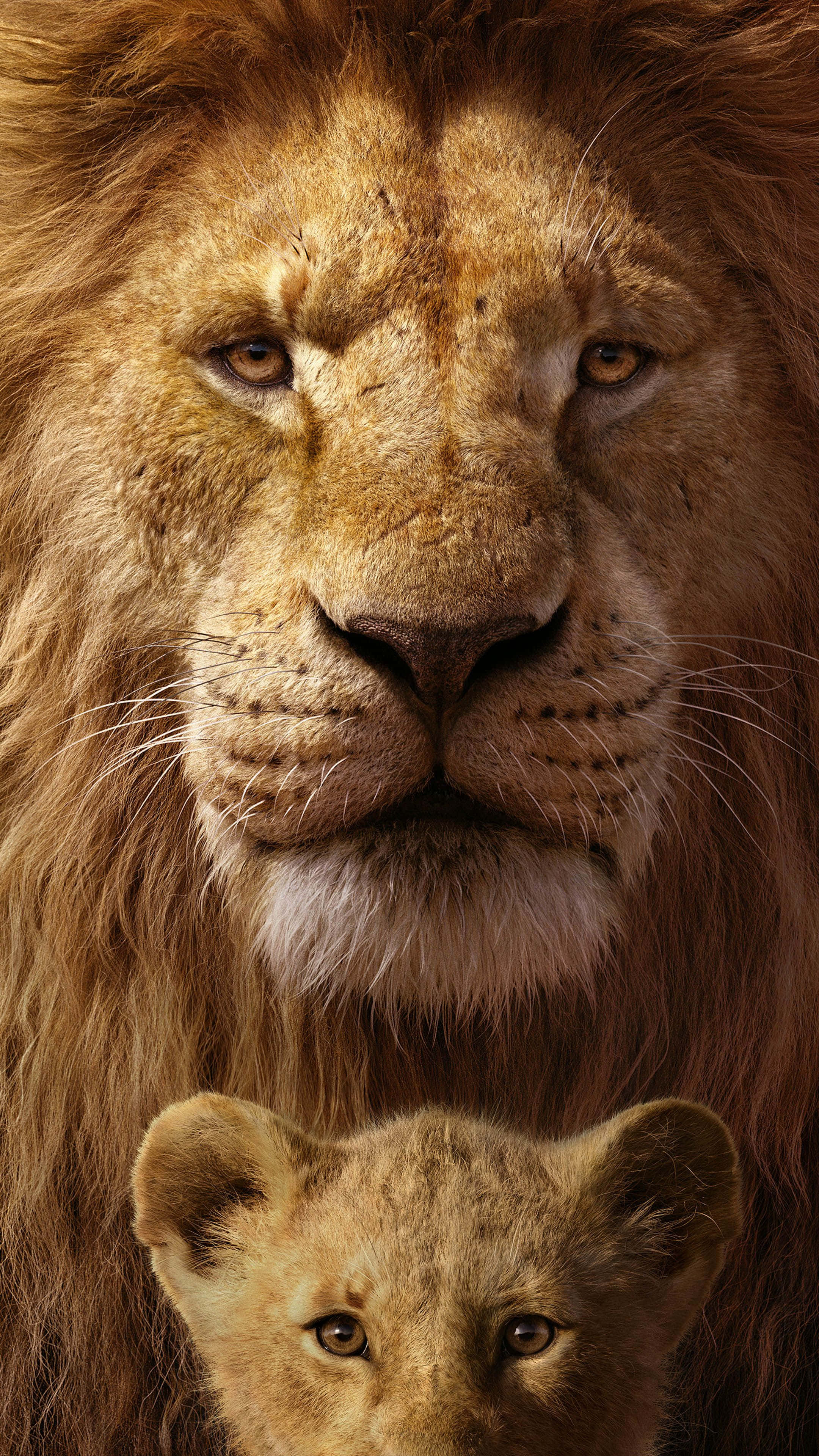 Cute Lion King, lion, cub, 4K Phone Wallpaper