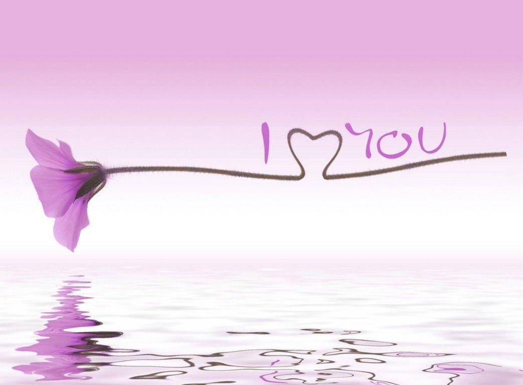Cute Love, purple rose, soft pink gradient sky, SD Desktop Wallpaper