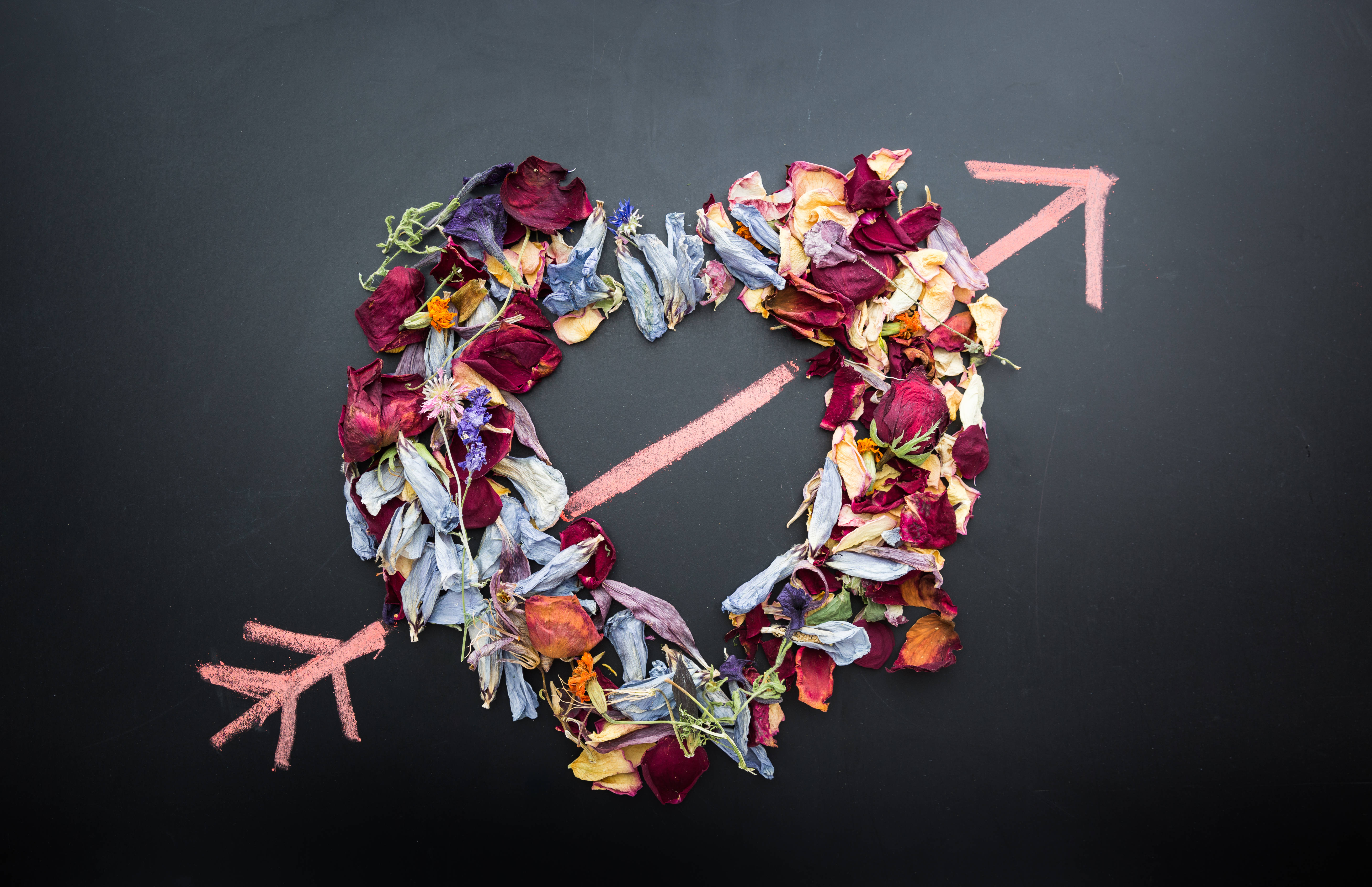 heart-shaped arrangement, dried colorful flower petals, love arrow, 5K Desktop Wallpaper