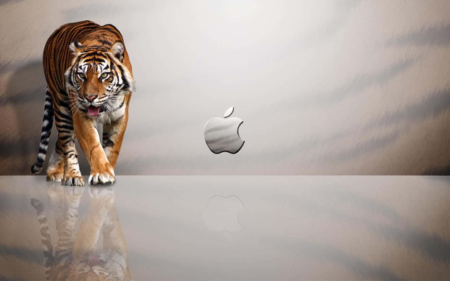 cute mac, 1440 x 900, silver Apple logo, HD Desktop Wallpaper