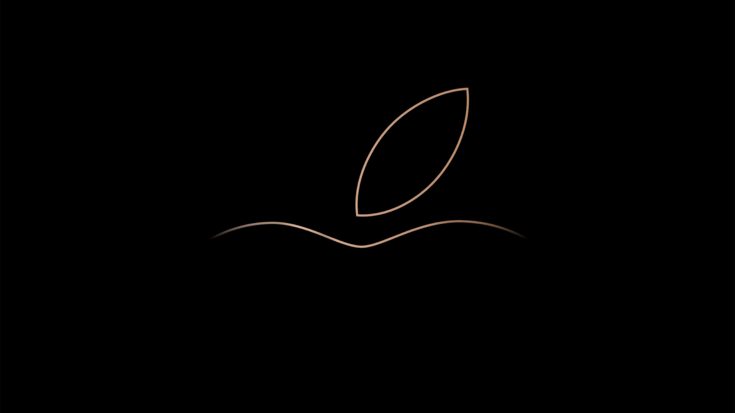 black MacBook, minimalist, golden leaf outline, 2K Desktop Wallpaper