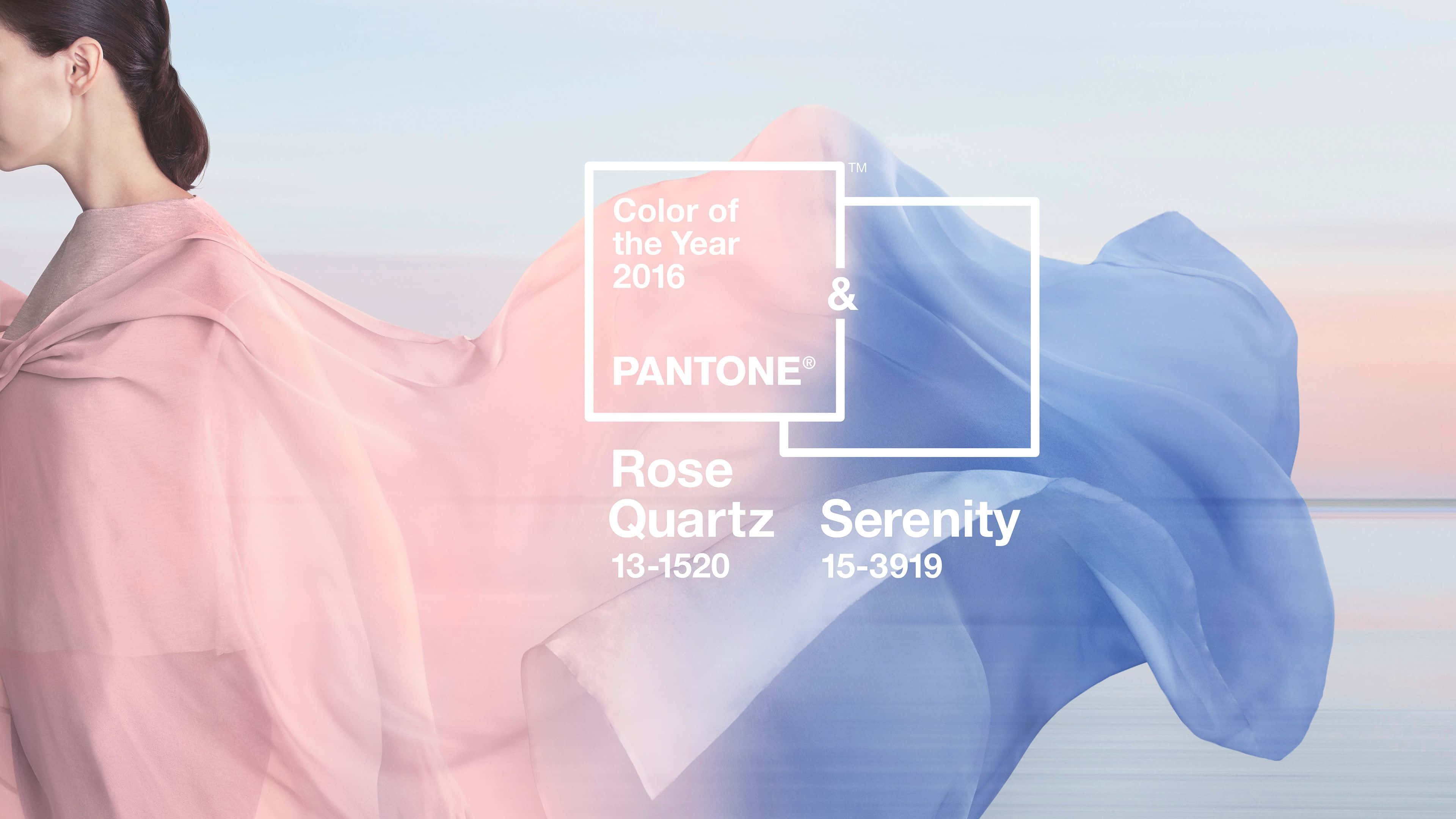 Pantone 2016 colors Rose Quartz and Serenity, blue, flowing pink and blue fabric, 4K Desktop Wallpaper