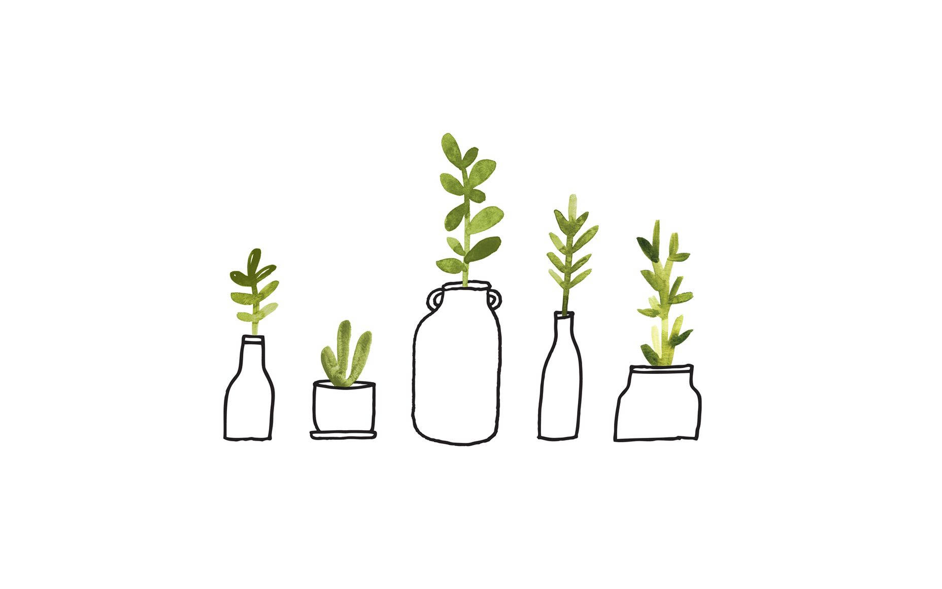 Cute Macbook Pro, minimalist line-drawn plants, assorted jars and bottles, HD Desktop Wallpaper